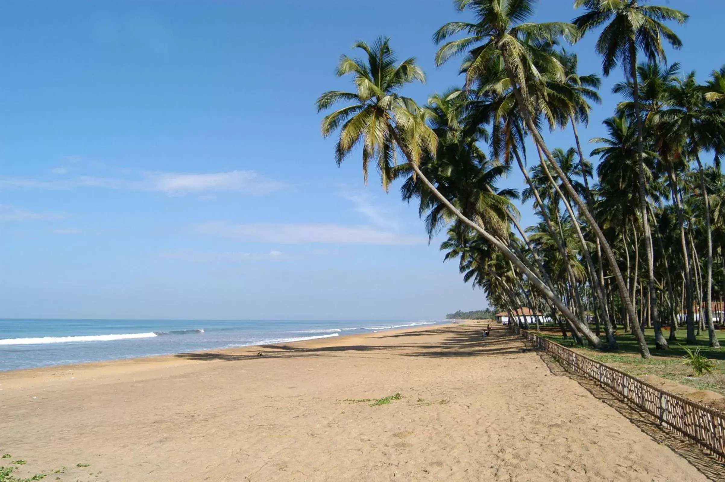 Beach in Royal Palms Beach Hotel