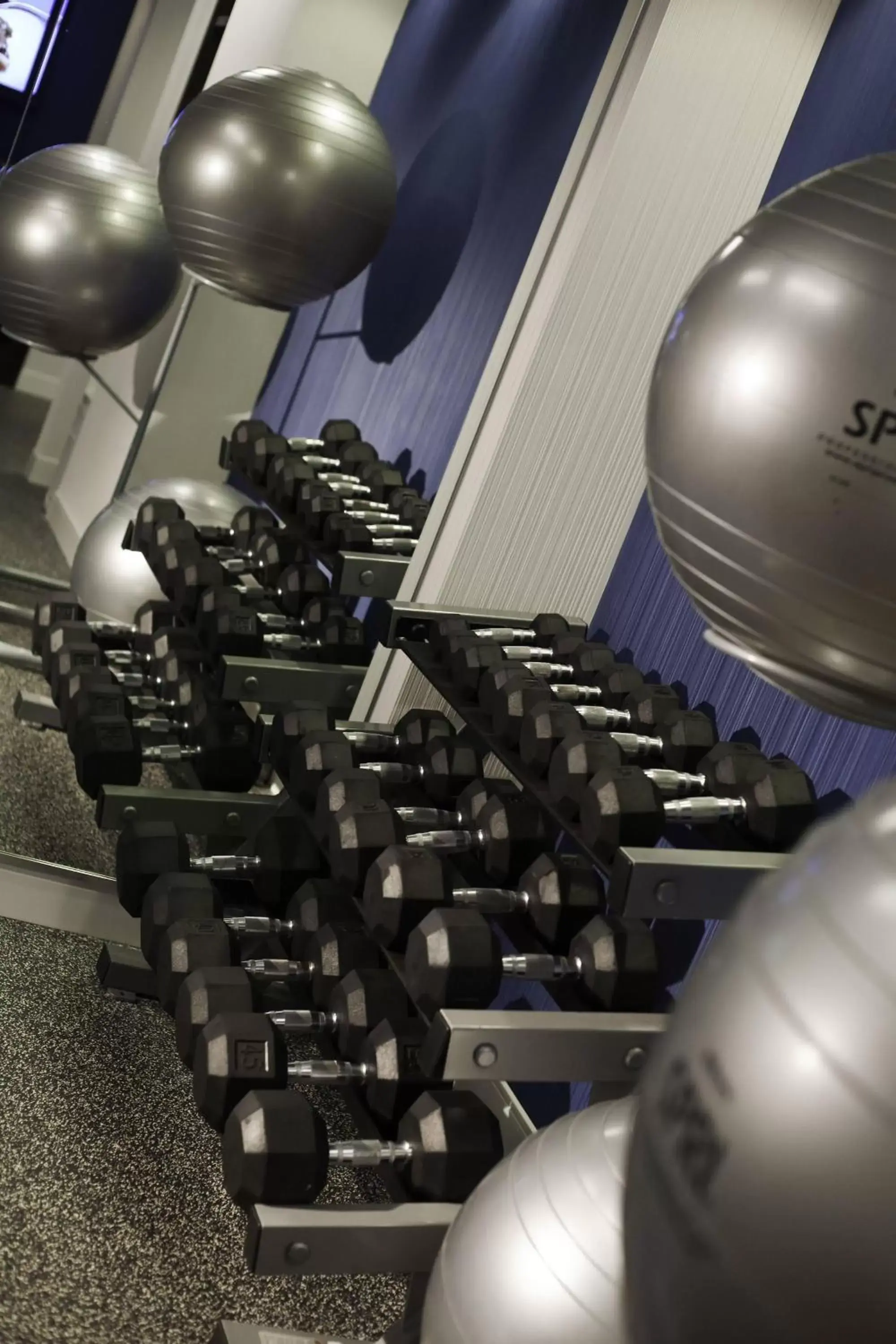 Fitness centre/facilities, Fitness Center/Facilities in Washington Dulles Marriott Suites