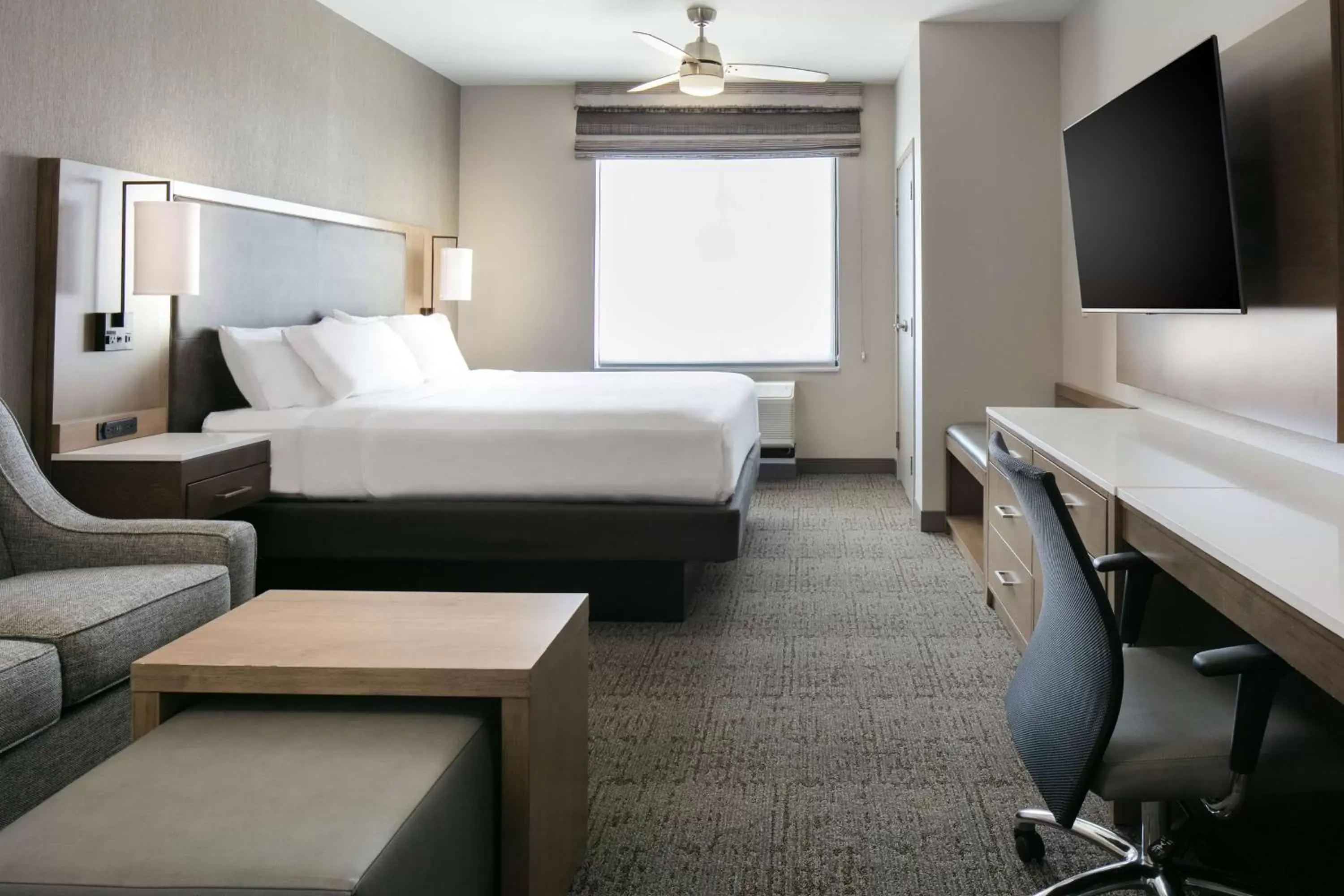 King Studio Suite - Non-Smoking in Homewood Suites By Hilton Dillon King Studio Suite - Non-Smoking in Homewood Suites By Hilton Dillon