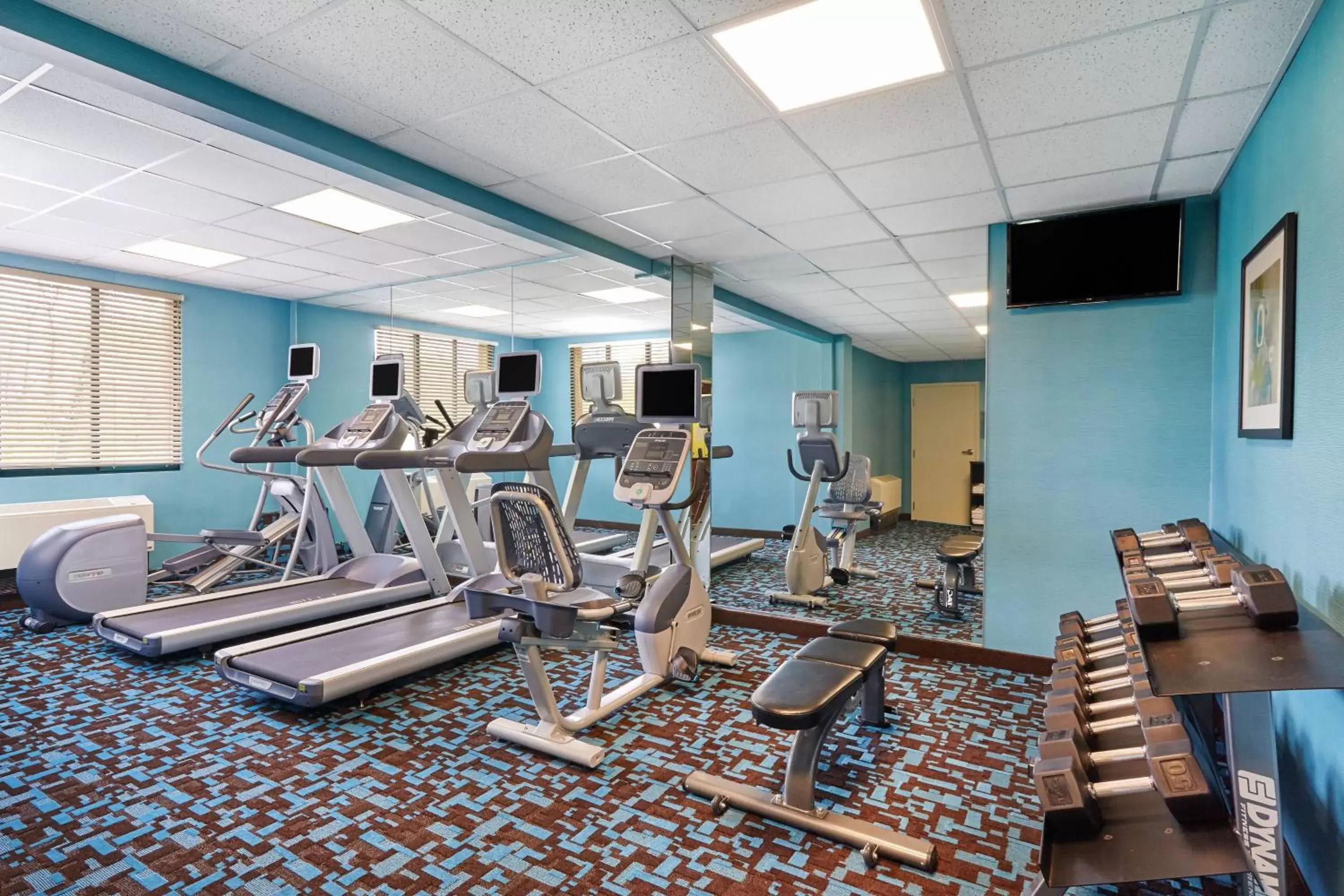 Fitness centre/facilities, Fitness Center/Facilities in Fairfield Inn and Suites Chicago Lombard