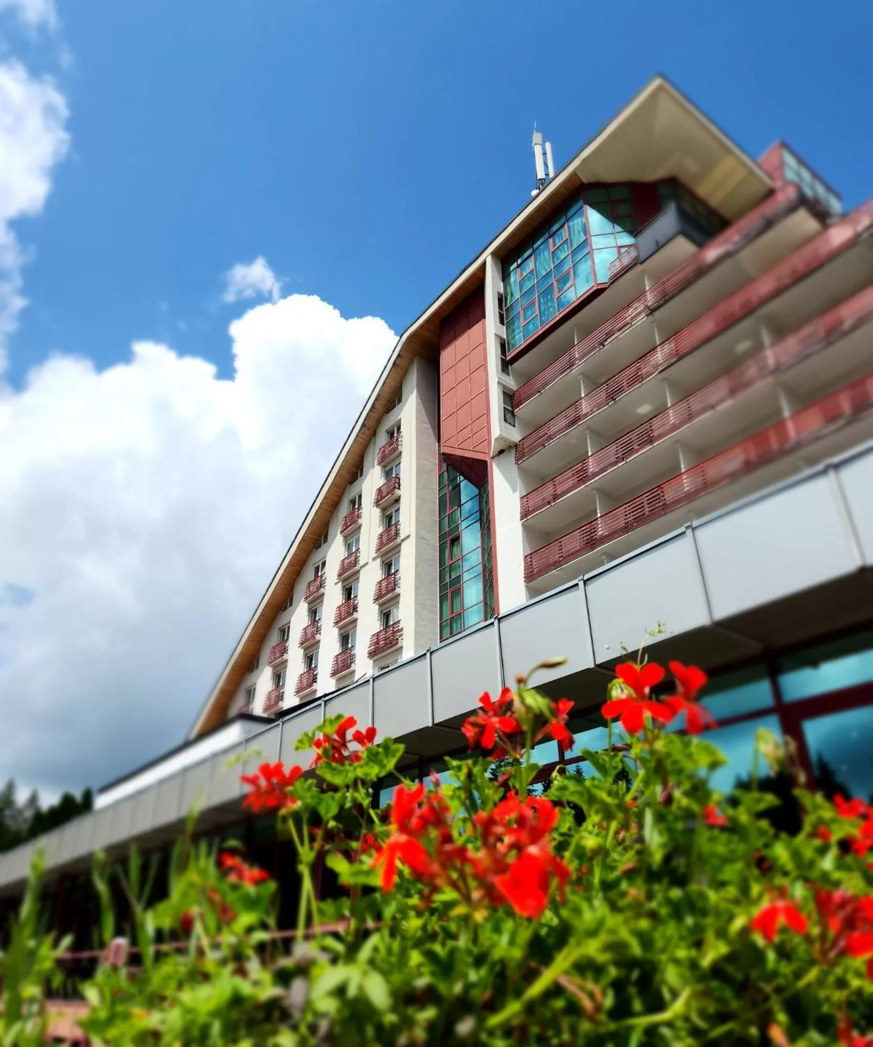 Property building in Hotel Piatra Mare