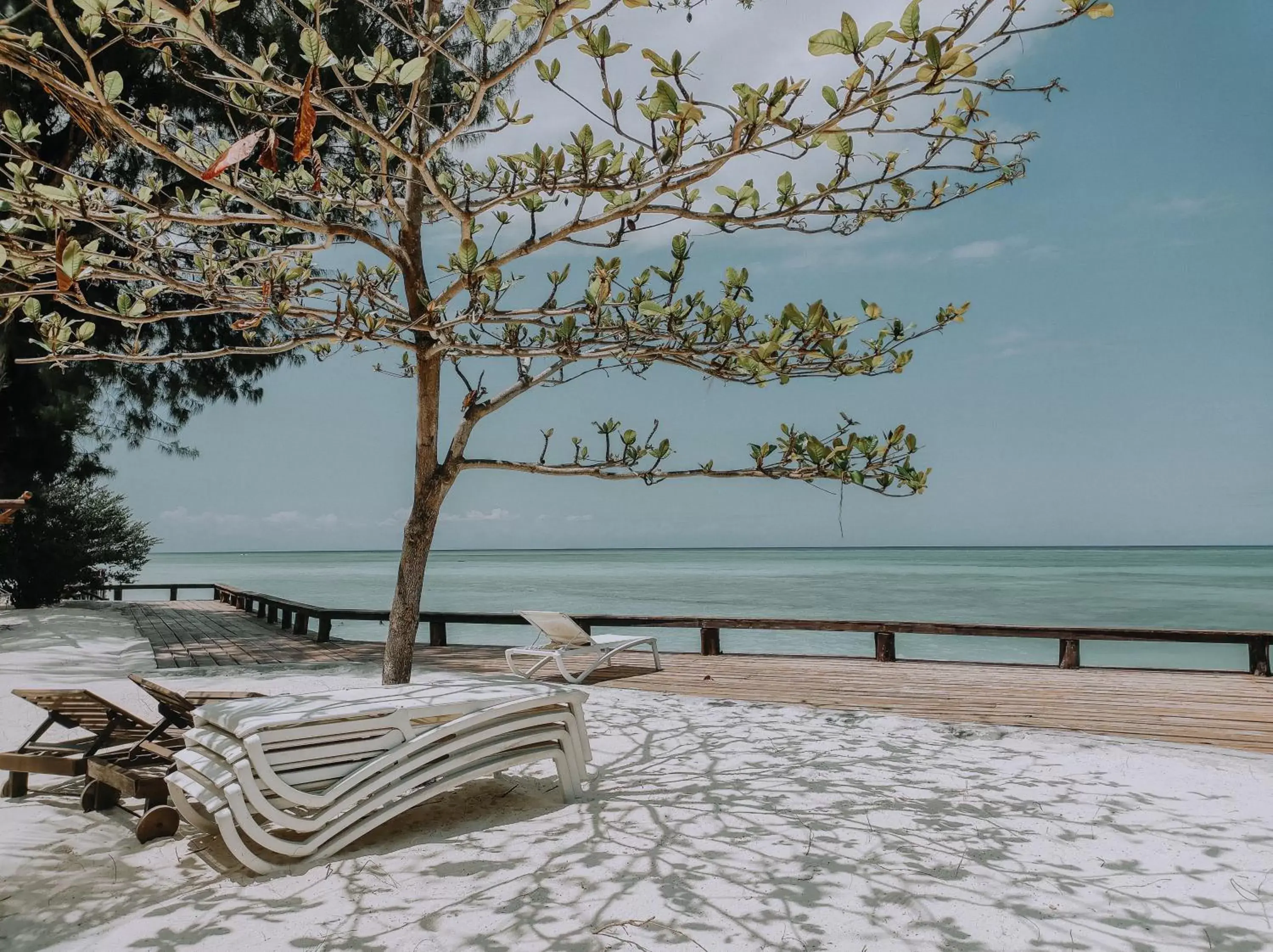 Beach in Mnarani Beach Cottages