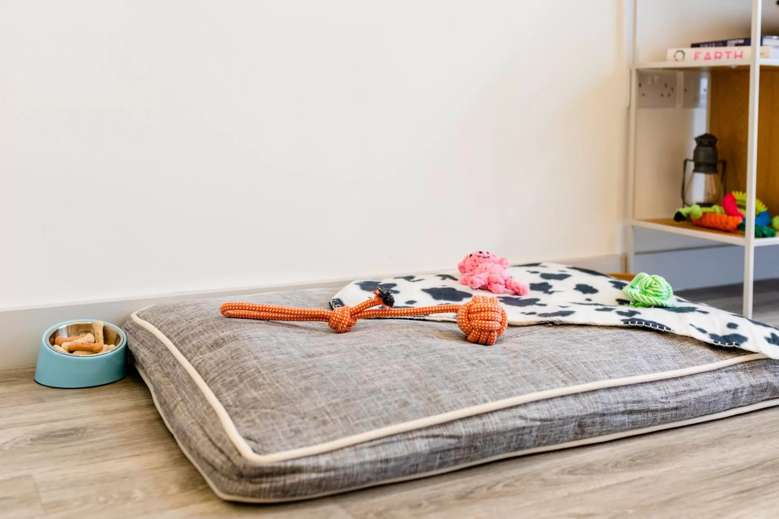 Pets, Bed in The Beachcroft Hotel, BW Signature Collection