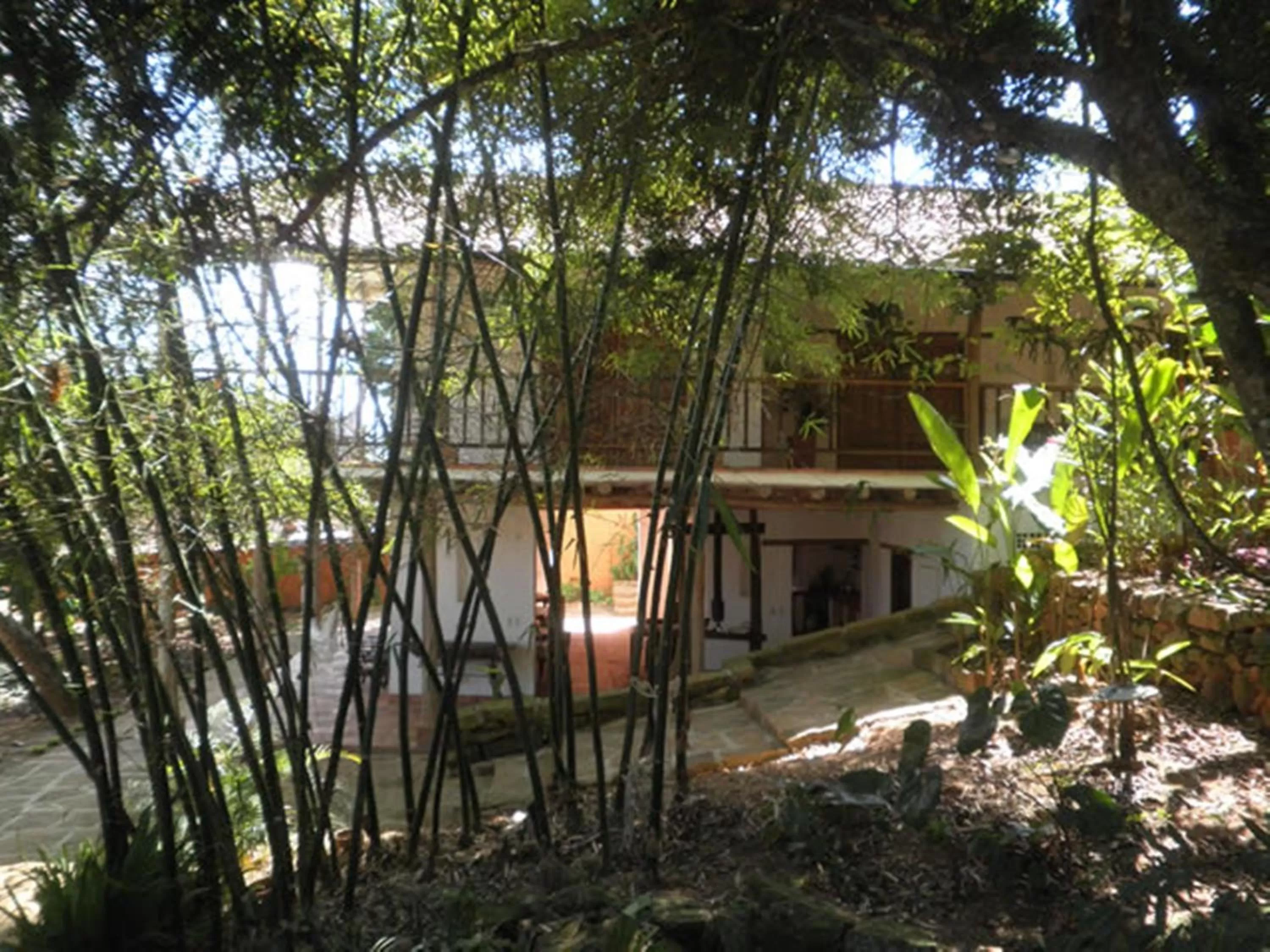 Other in Achiotte by Masaya Collection