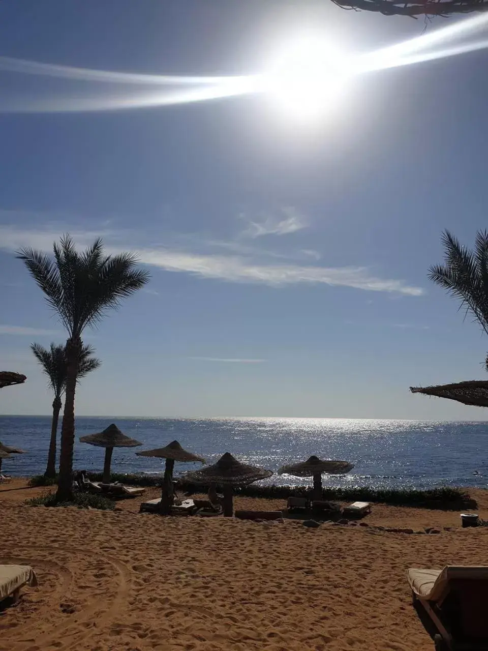 Beach in Monte Carlo Sharm Resort & Spa