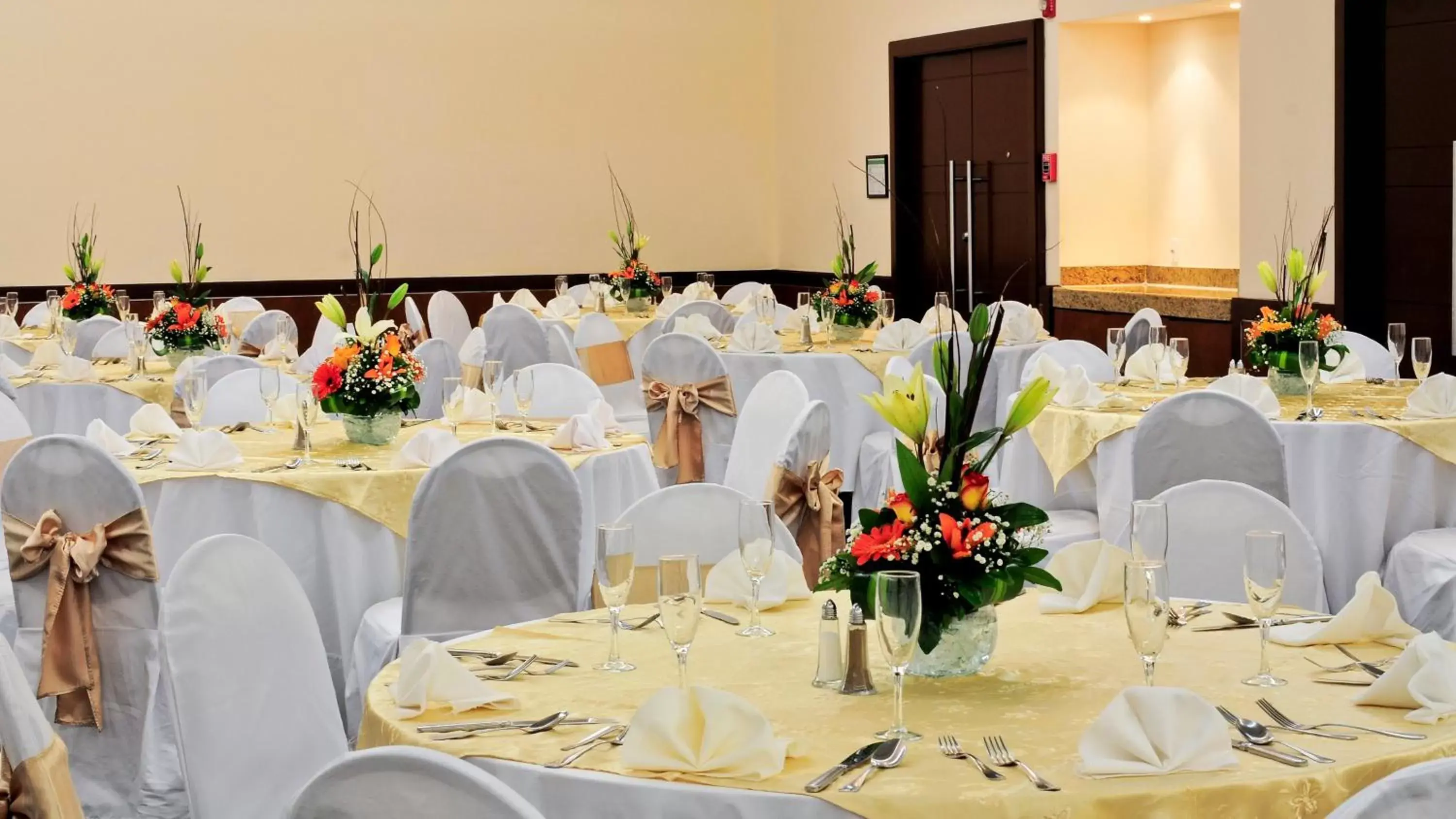 Banquet/Function facilities, Banquet Facilities in Holiday Inn Uruapan, an IHG Hotel