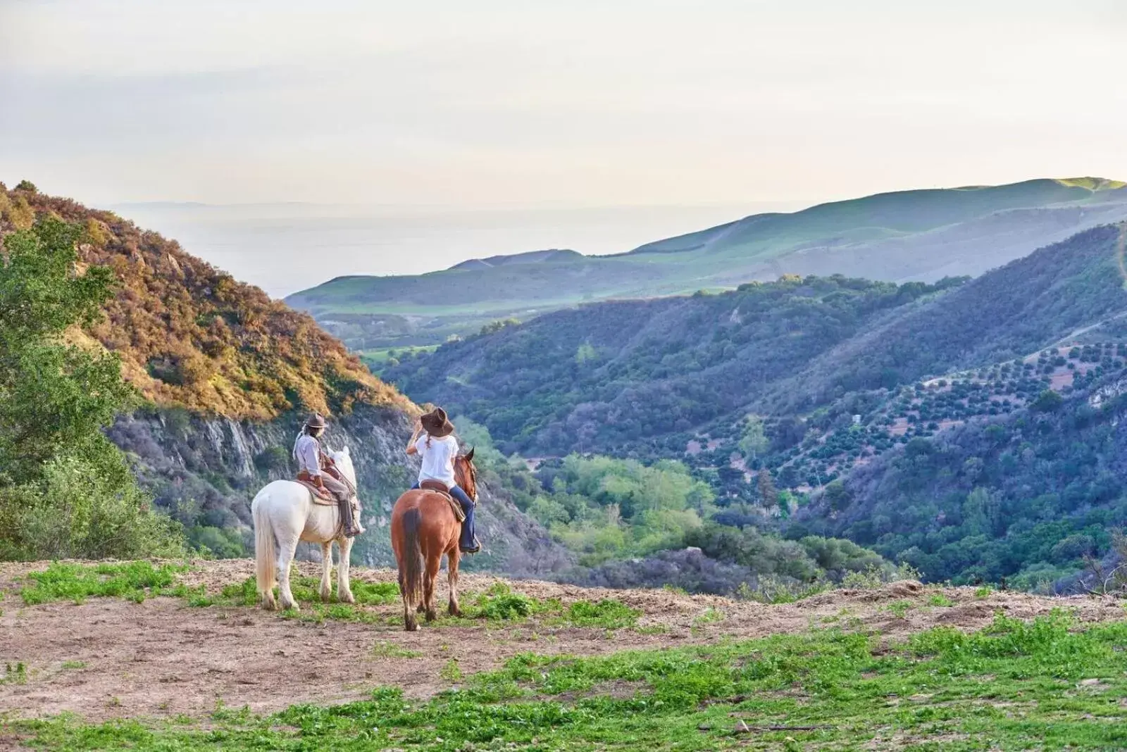 Horseback Riding in Circle Bar B Guest Ranch