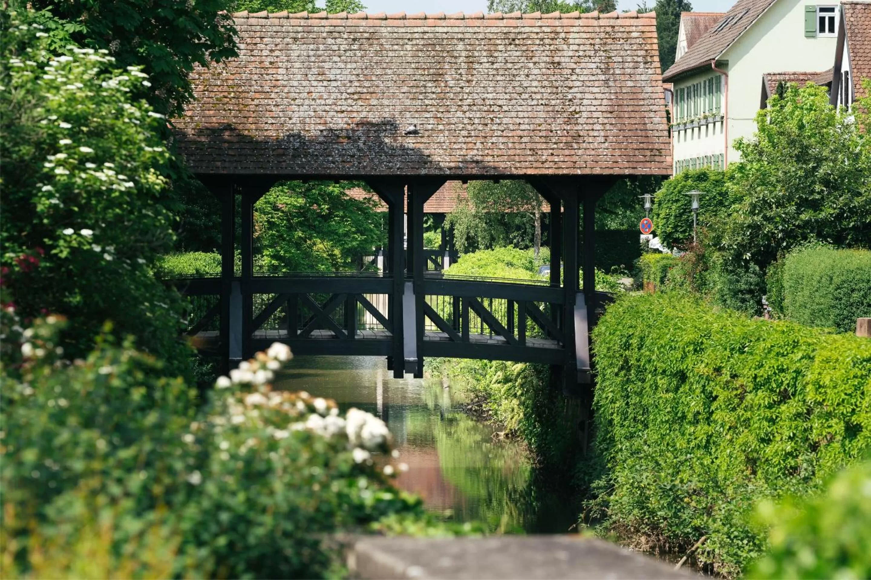 Natural landscape in Hotel Schiller