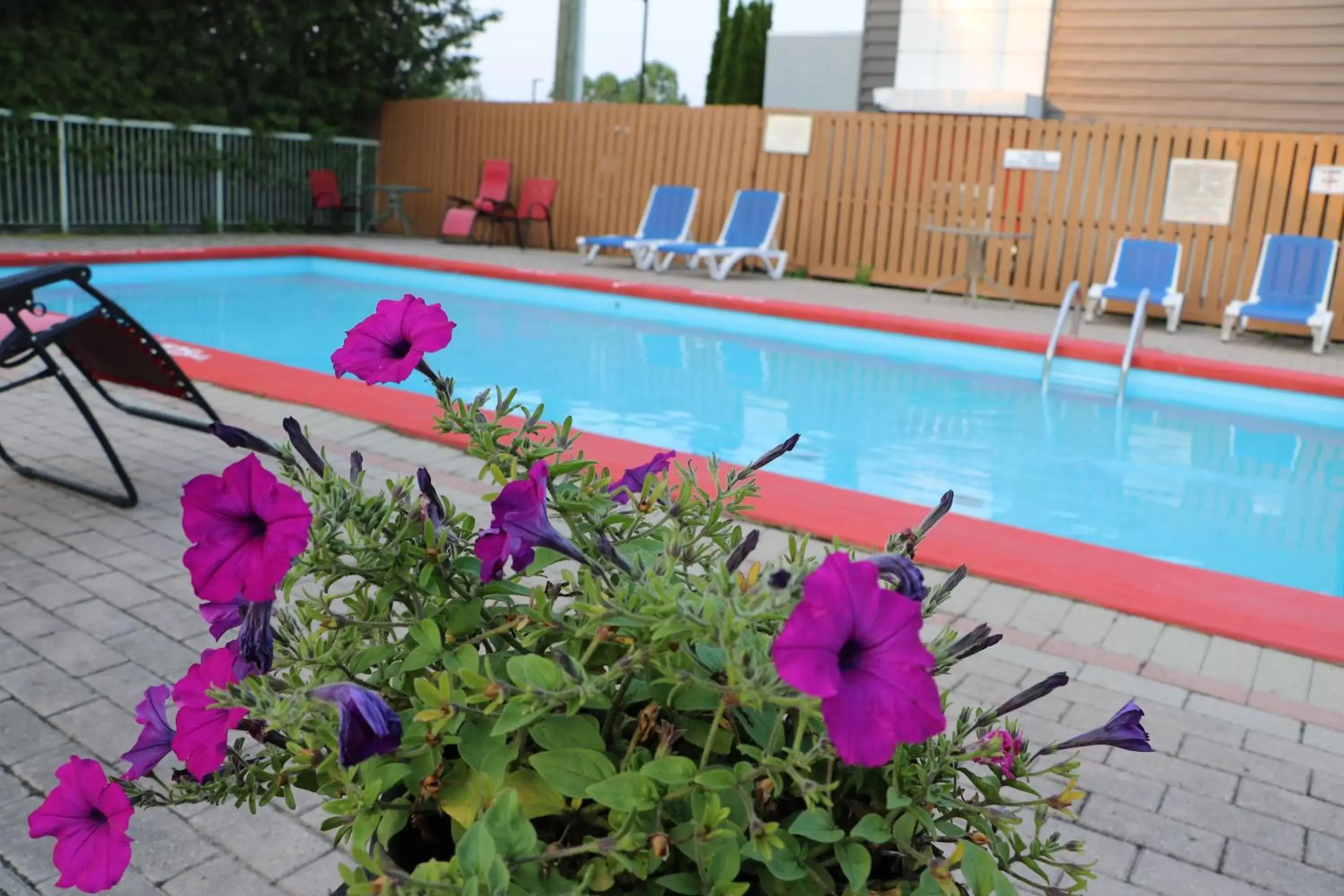 Swimming Pool in Quality Inn & Suites 1000 Islands