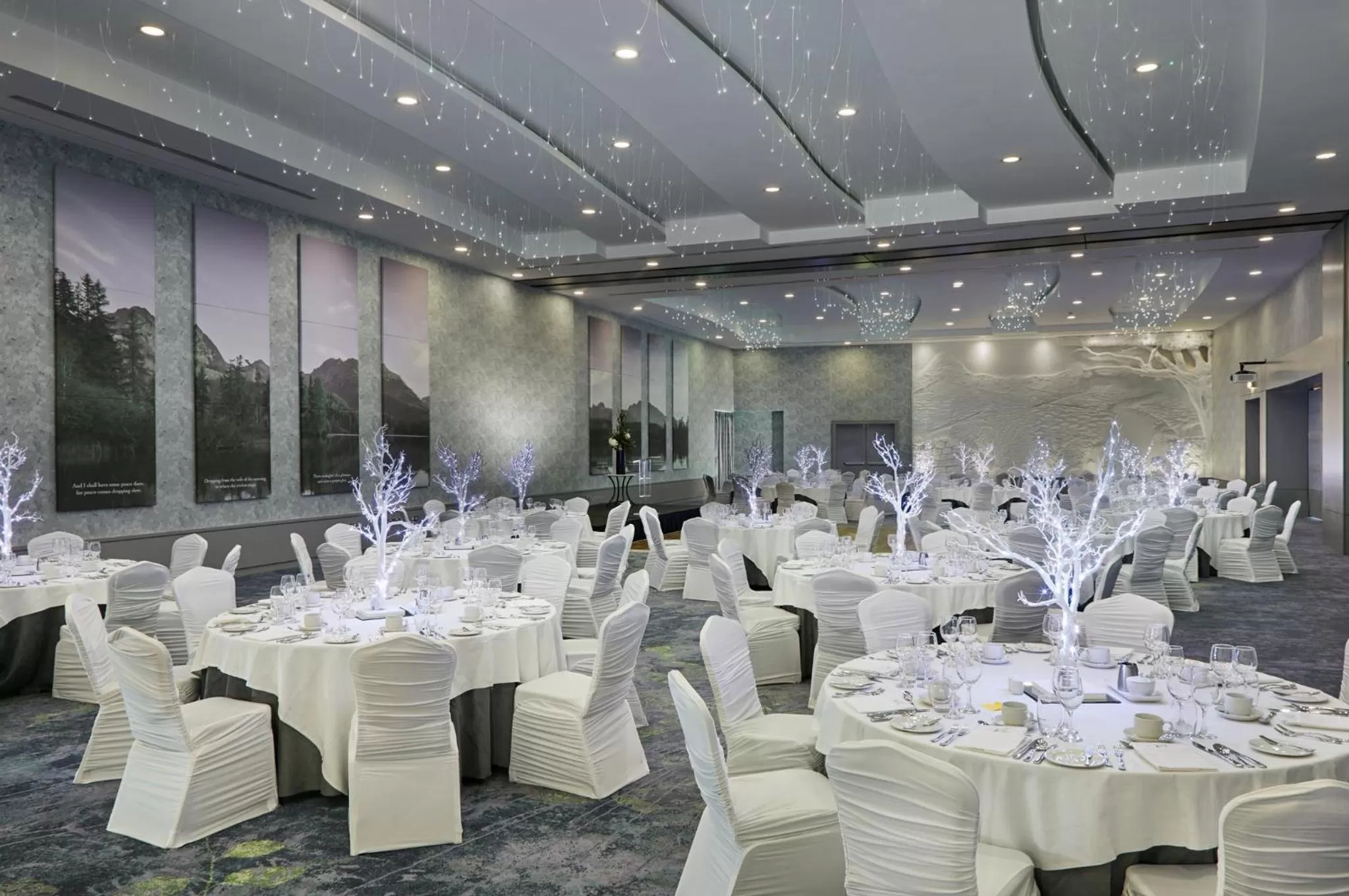 Banquet/Function facilities in Crowne Plaza Dublin Blanchardstown by IHG