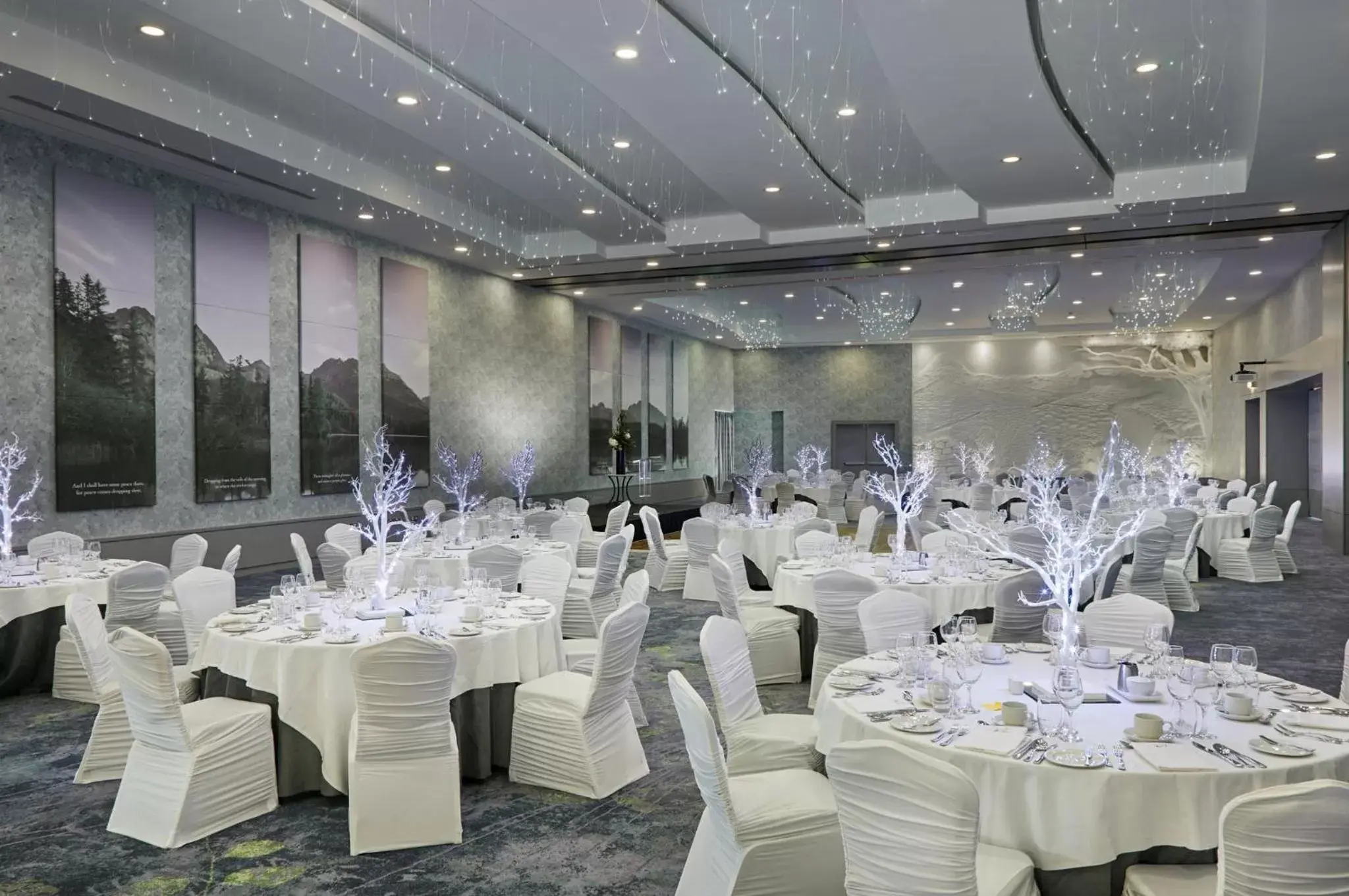 Banquet/Function facilities, Banquet Facilities in Crowne Plaza Dublin Blanchardstown, an IHG Hotel