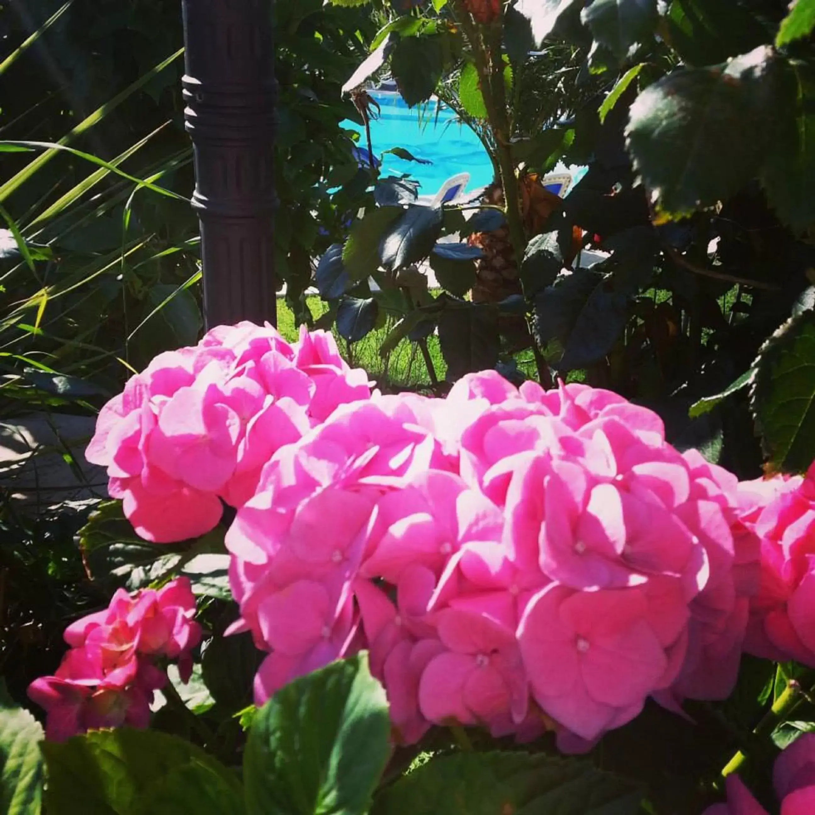 Garden in Grand Hotel degli Angeli