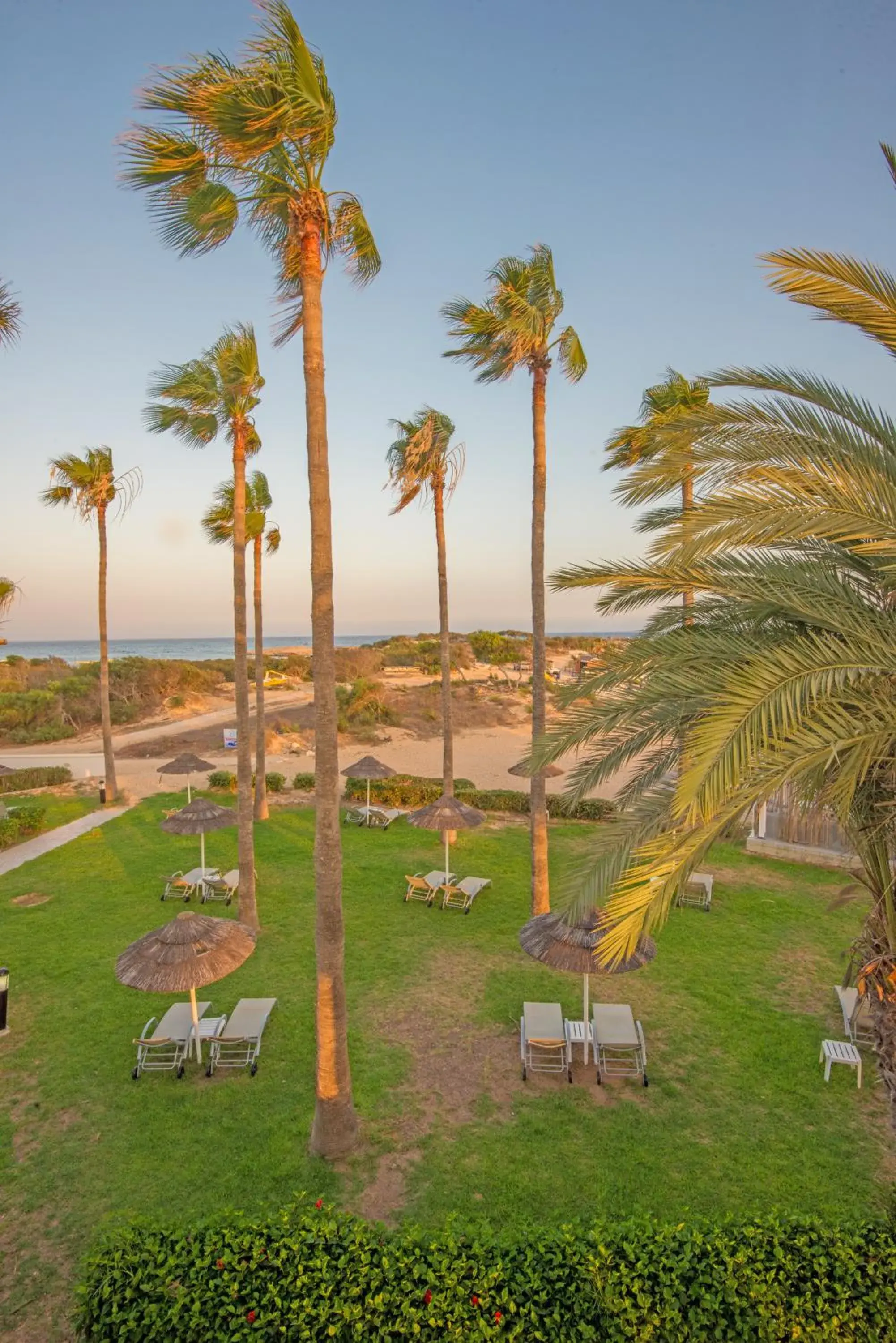 Garden in The Dome Beach Hotel & Resort