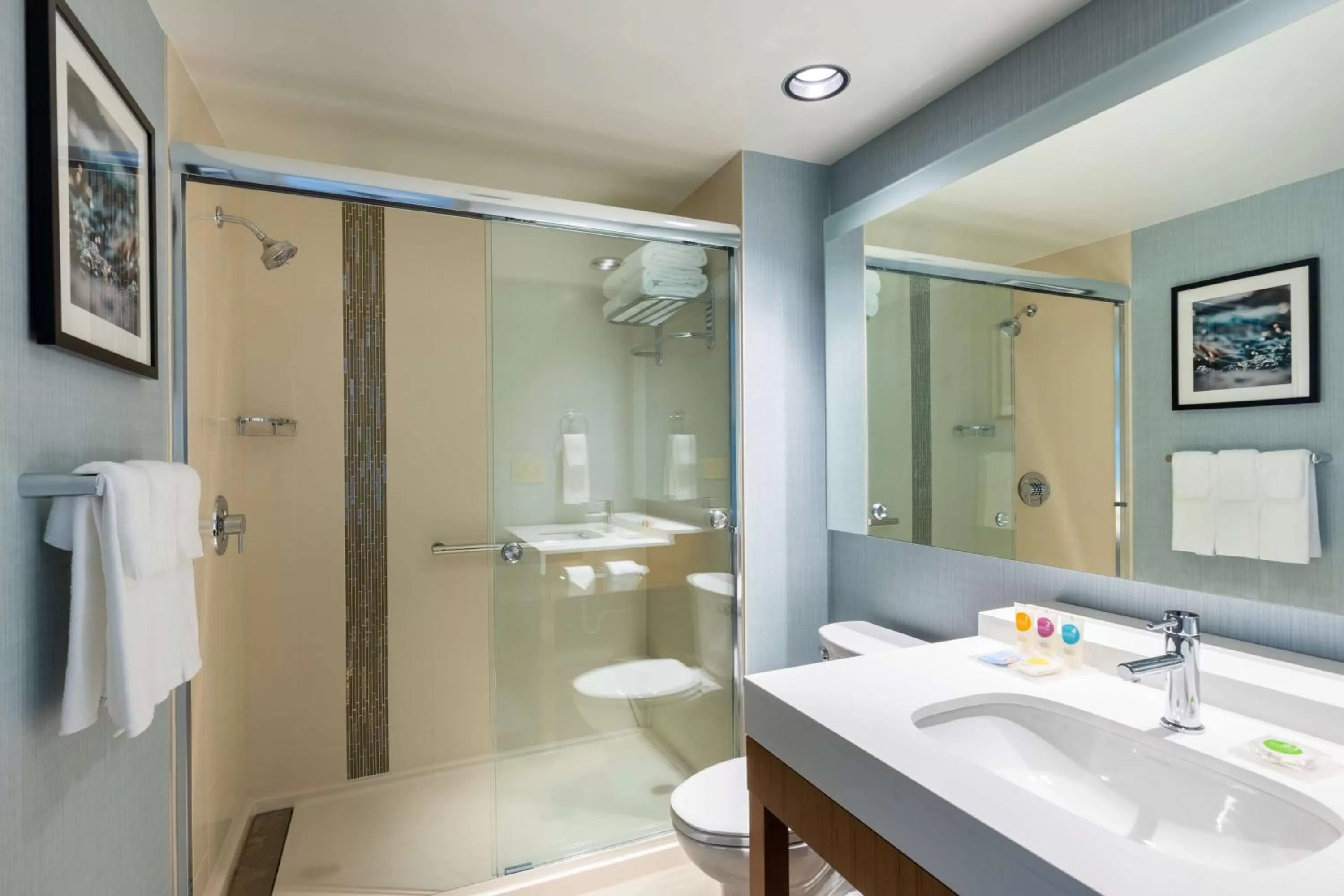 Bathroom in Hyatt Place Atlanta Centennial Park