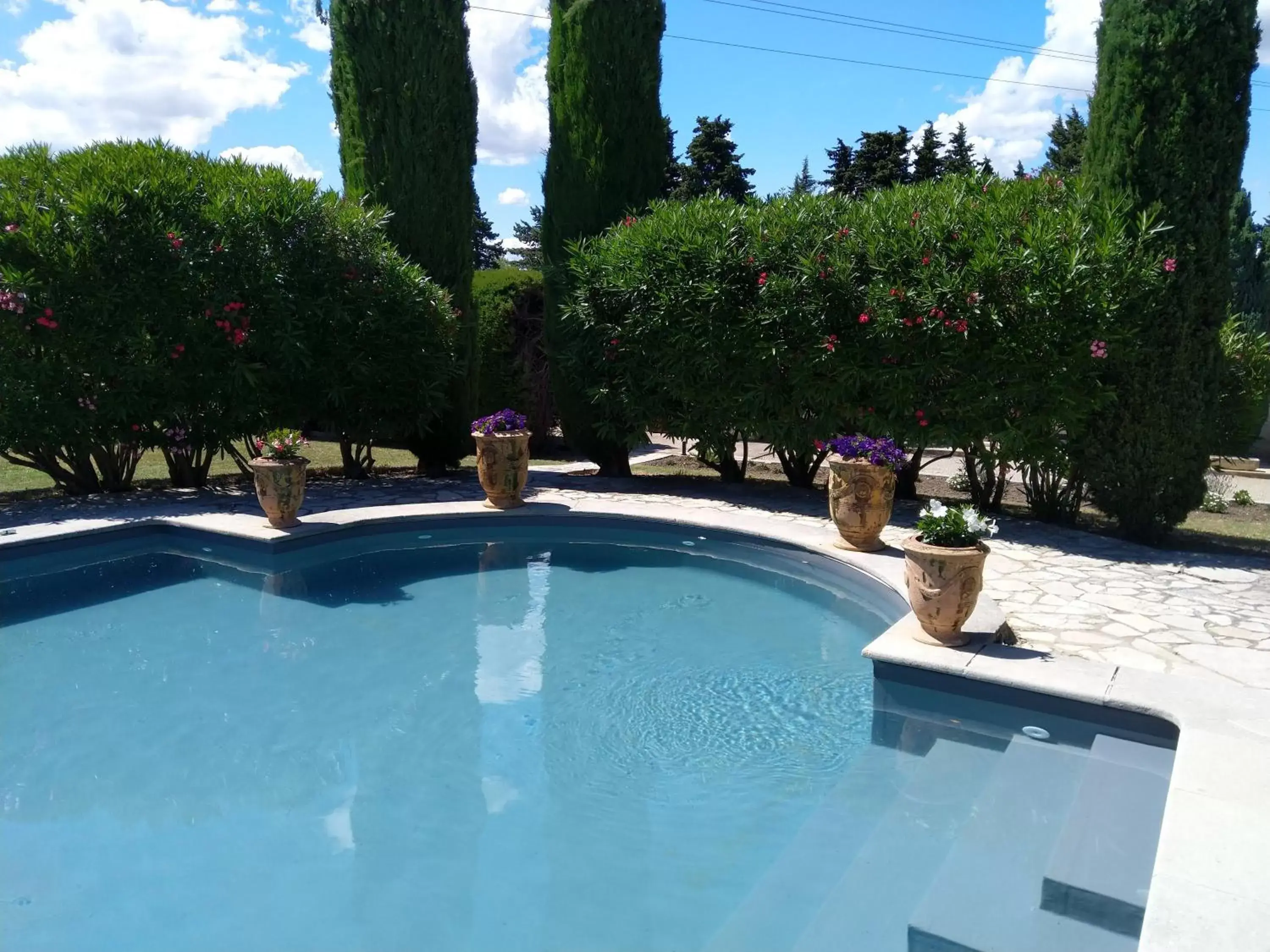 Pool view, Swimming Pool in Villa Liberty