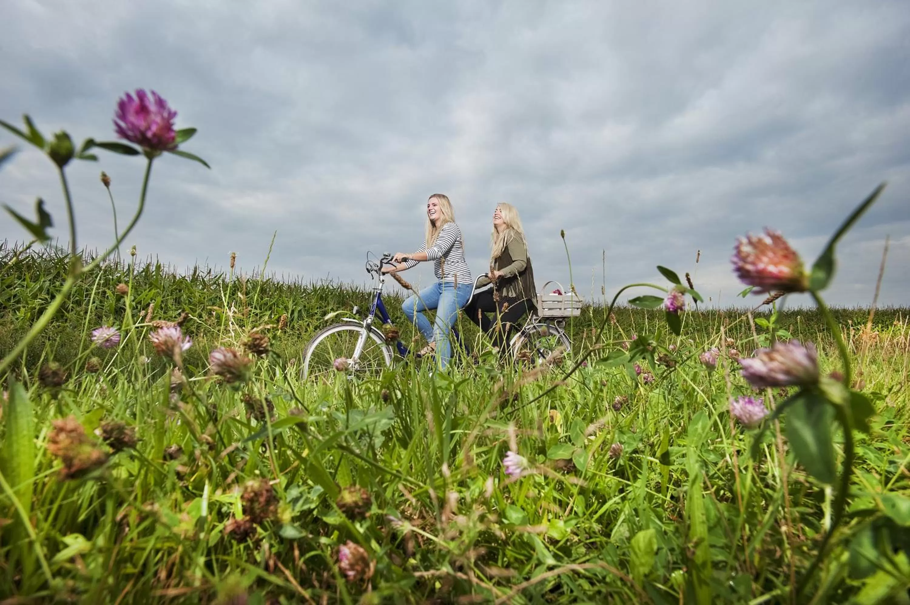 Cycling in Hotel Wesseling