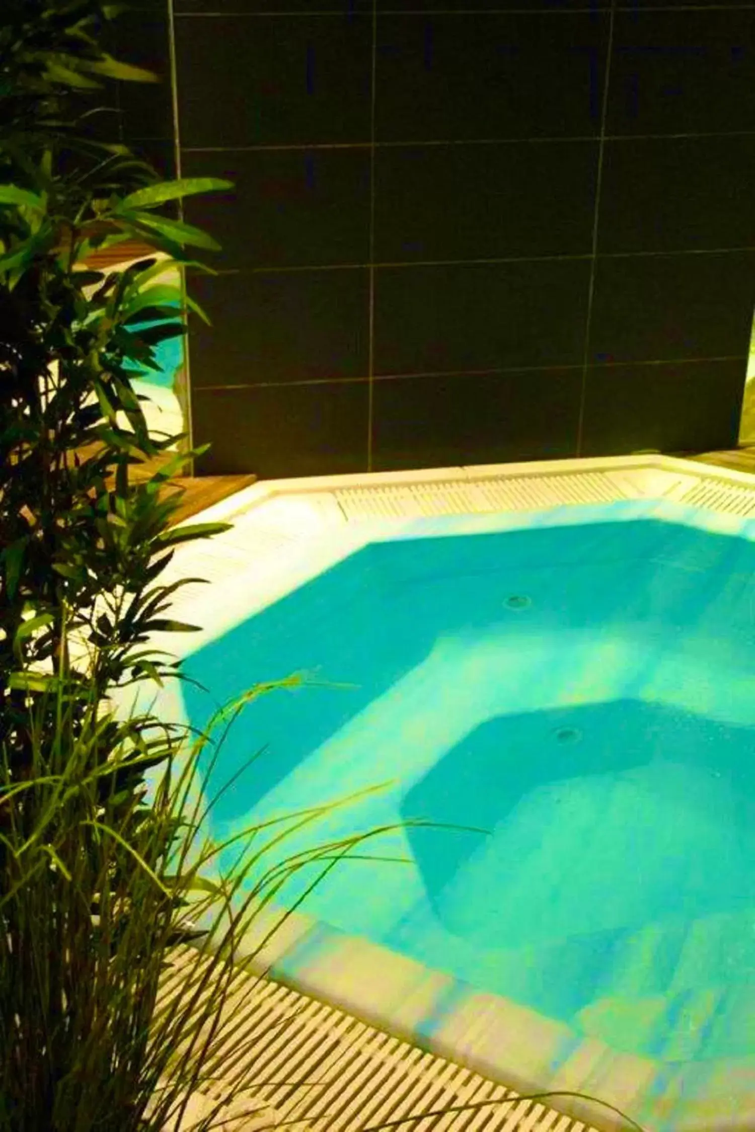 Spa and wellness centre/facilities, Swimming Pool in Kyriad Restaurant Centre Vichy