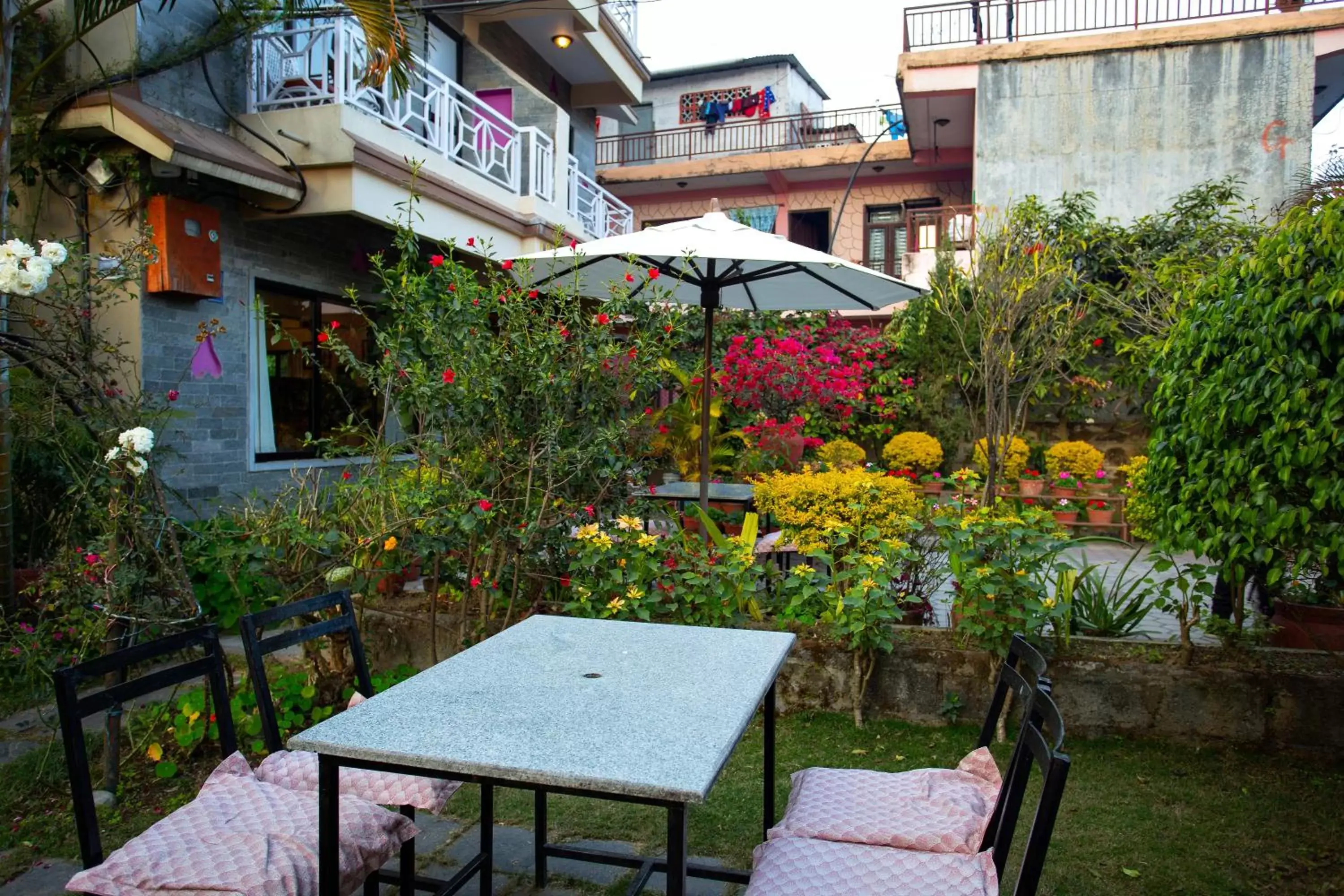 Patio in Hotel Orchid