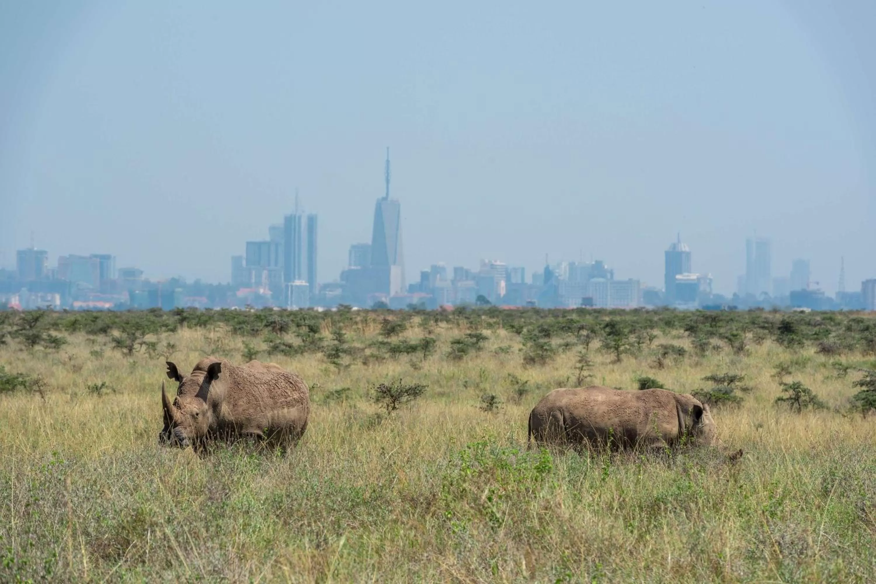 Off site in Park Inn by Radisson, Nairobi Westlands