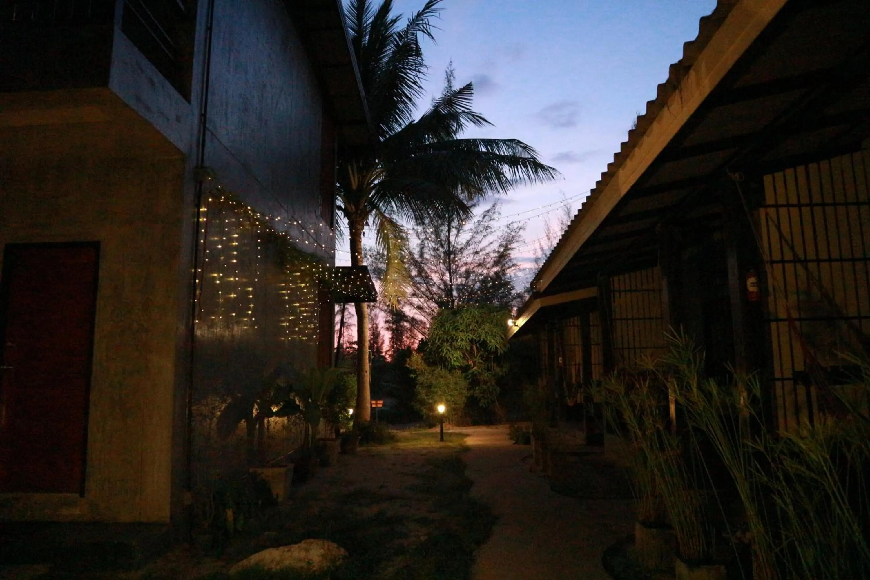 Garden in Raven Blue