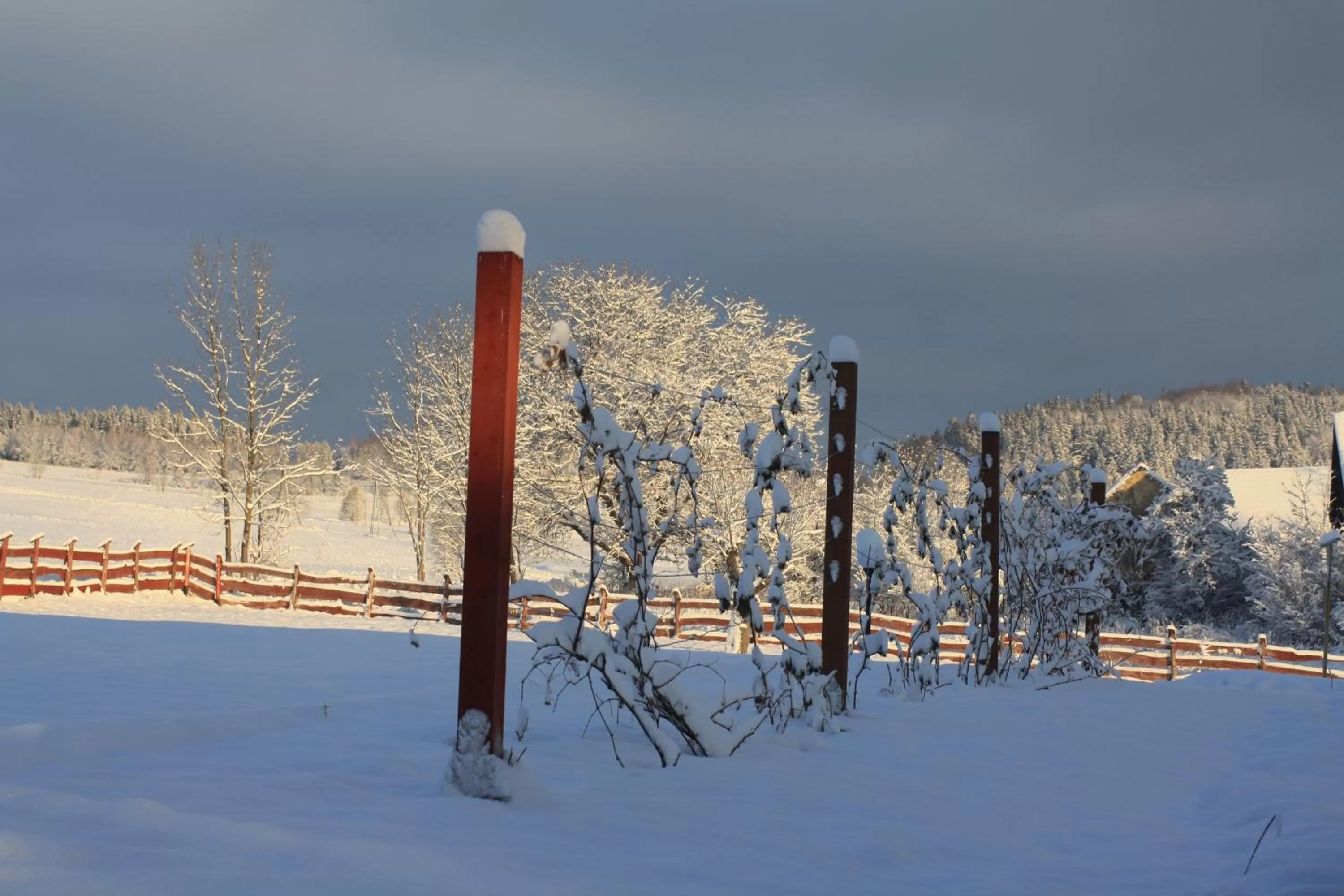Other in Dom na Klonowym Wzgórzu