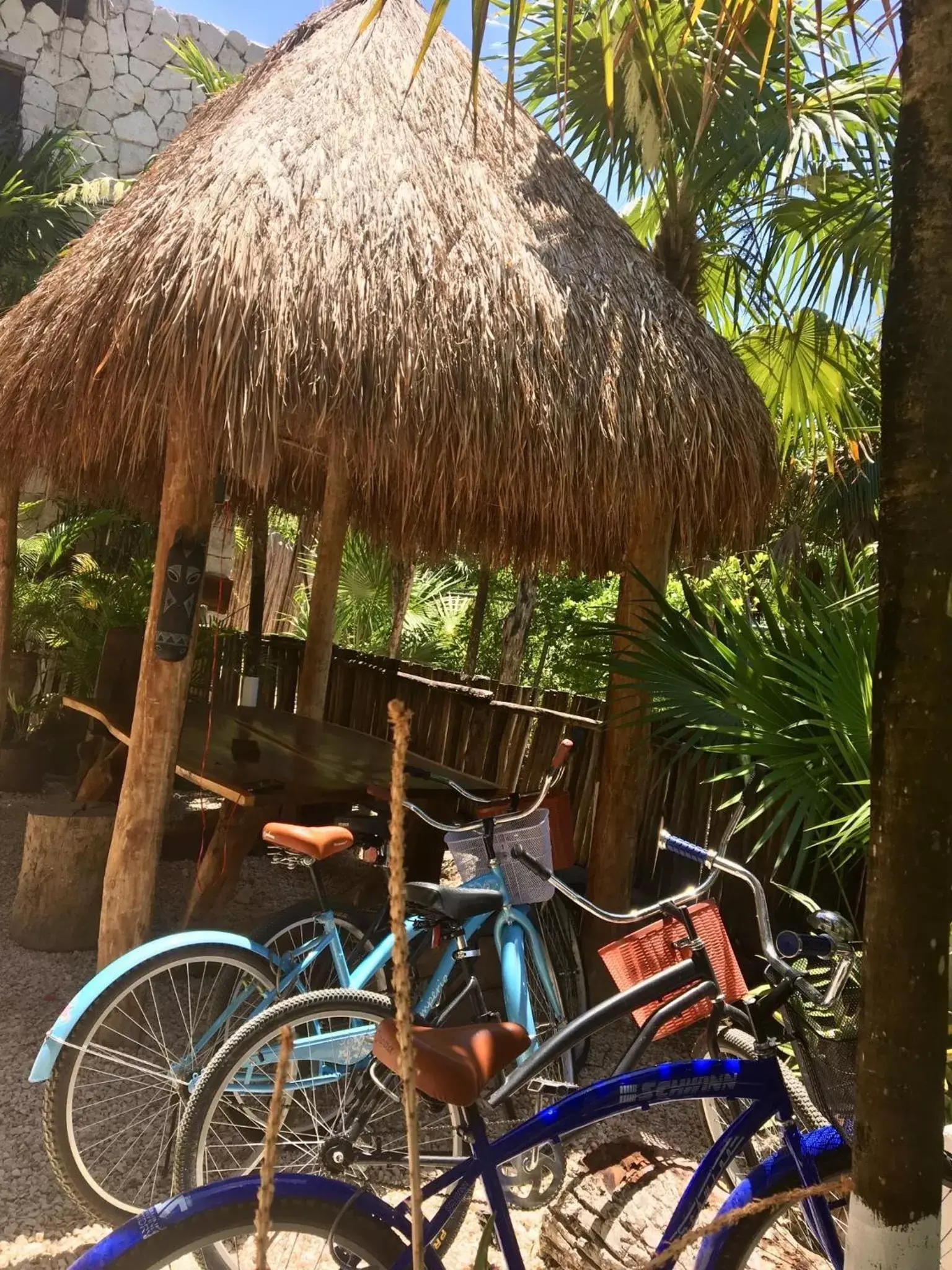 Garden in La Casa de Mia Tulum