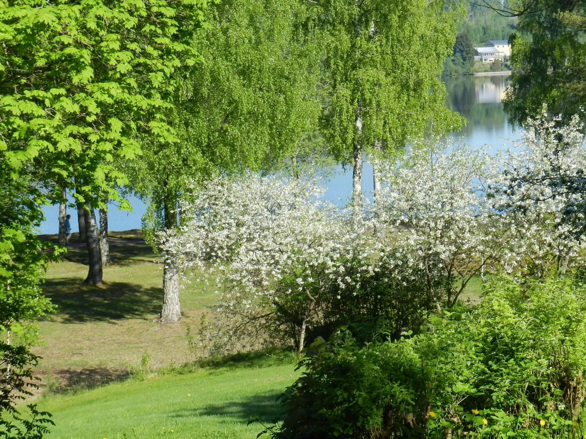 On site in Sköna Rum Fryksta