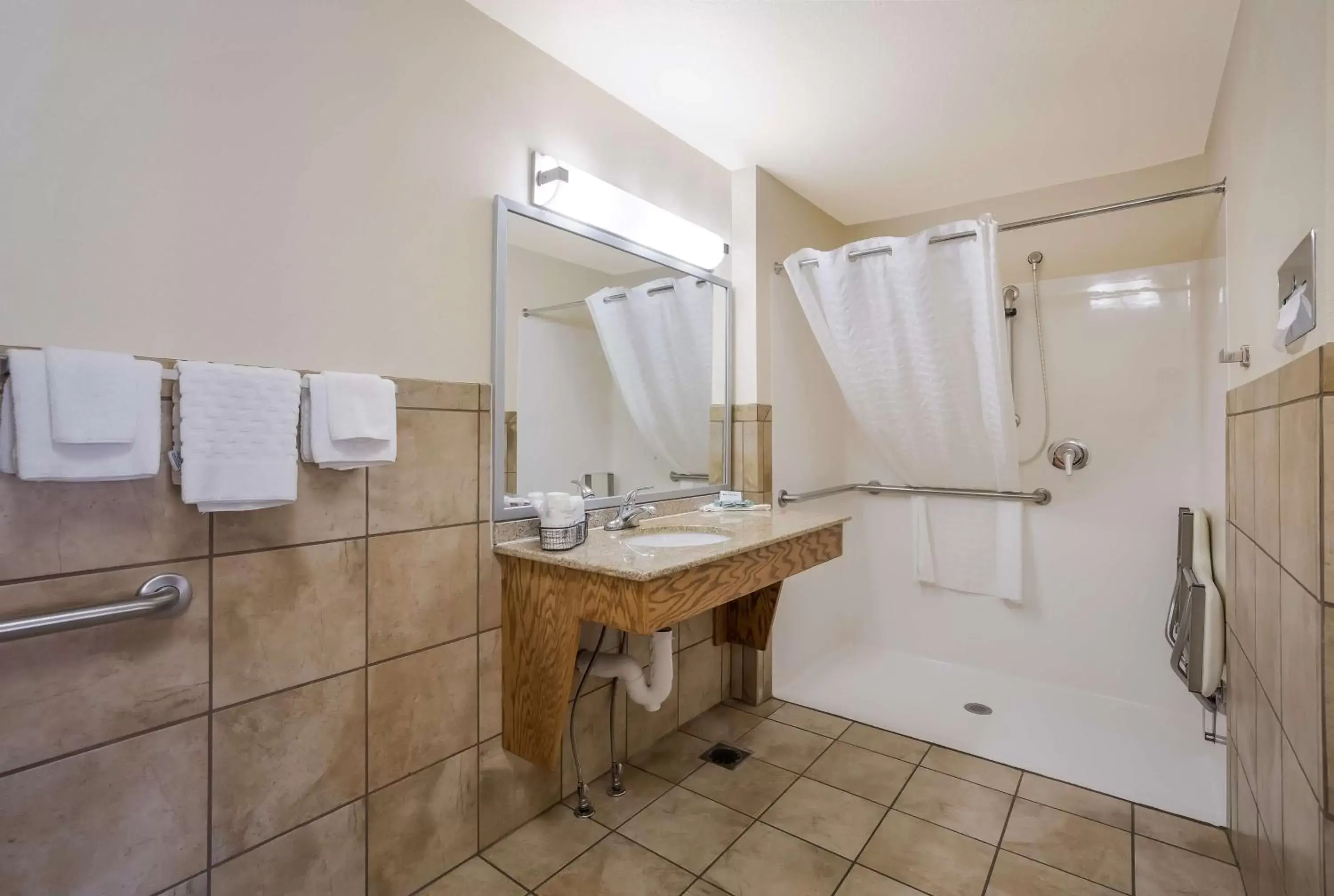 Bathroom in Best Western Plains Motel