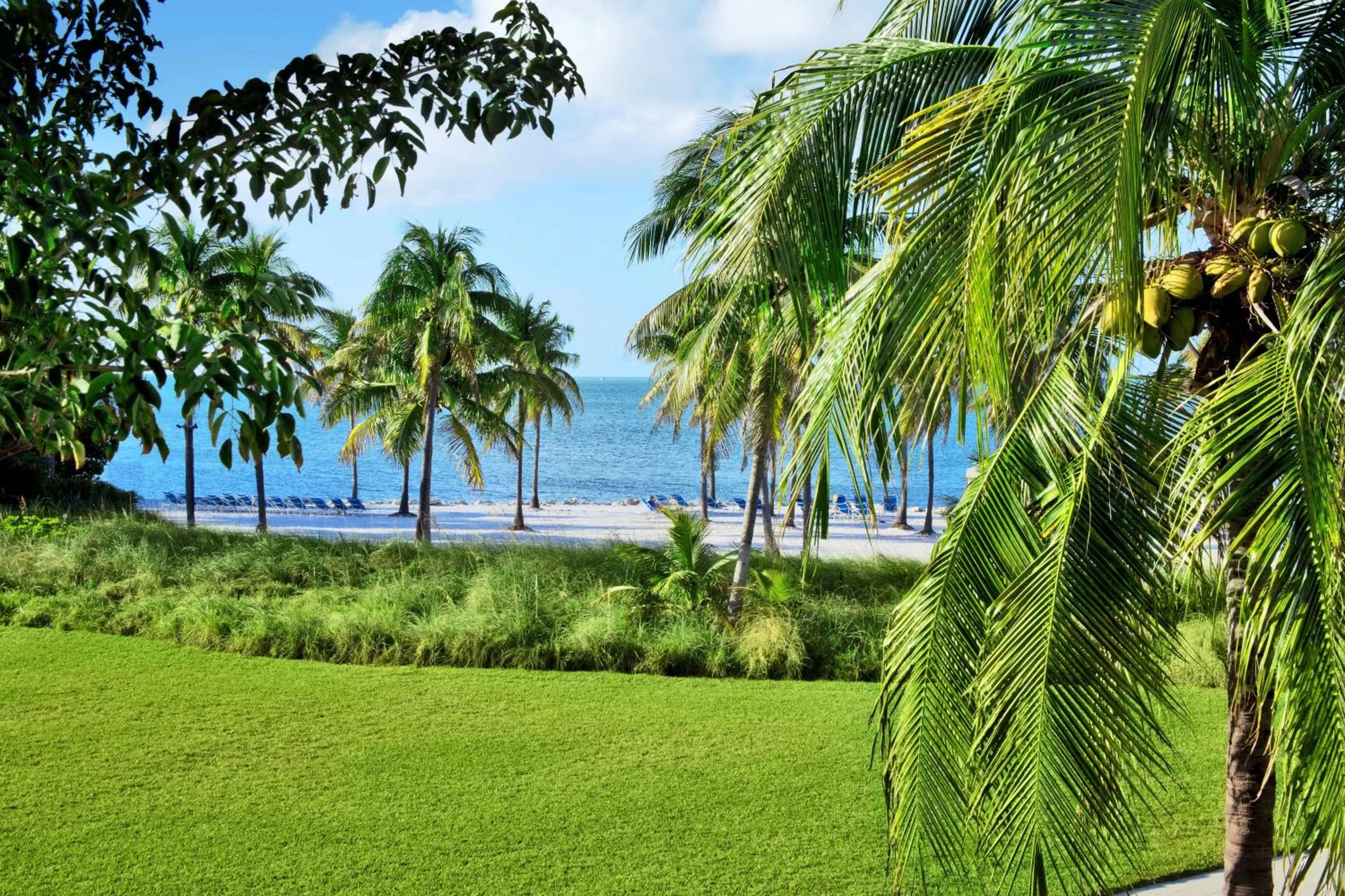 Day in Tranquility Bay Resort