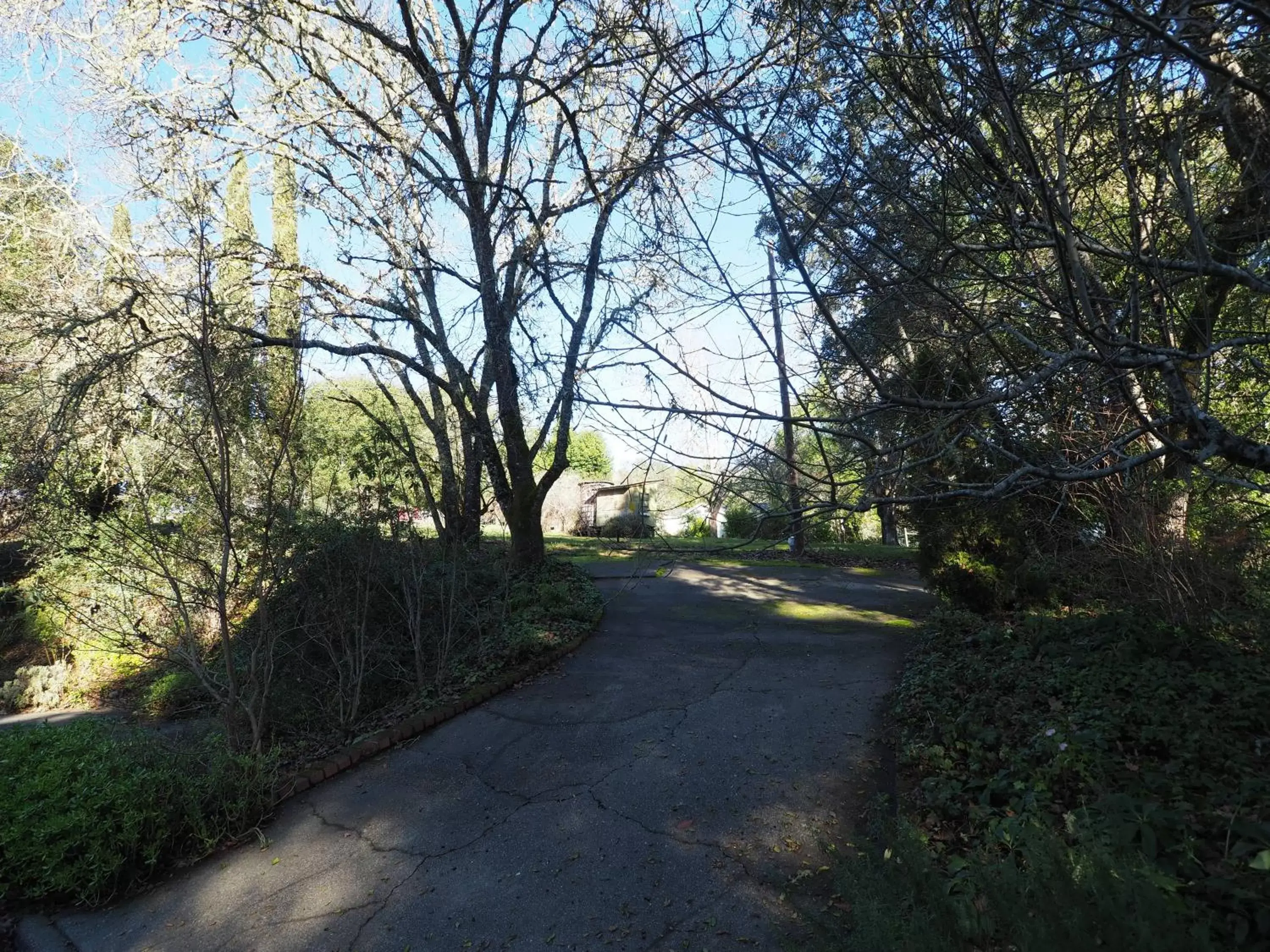 Natural landscape, Garden in Mine and Farm, The Inn at Guerneville, CA