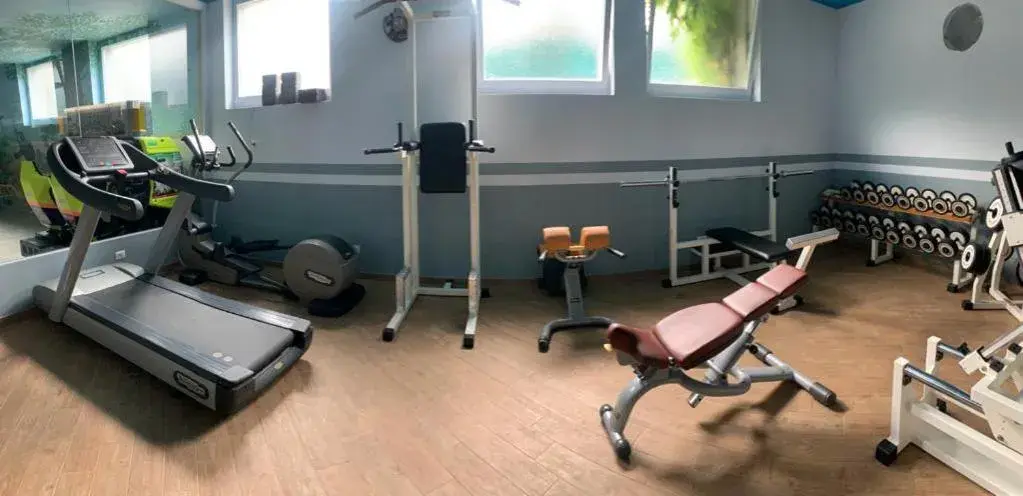 Fitness centre/facilities, Fitness Center/Facilities in Impero Hotel Varese Beauty & Spa