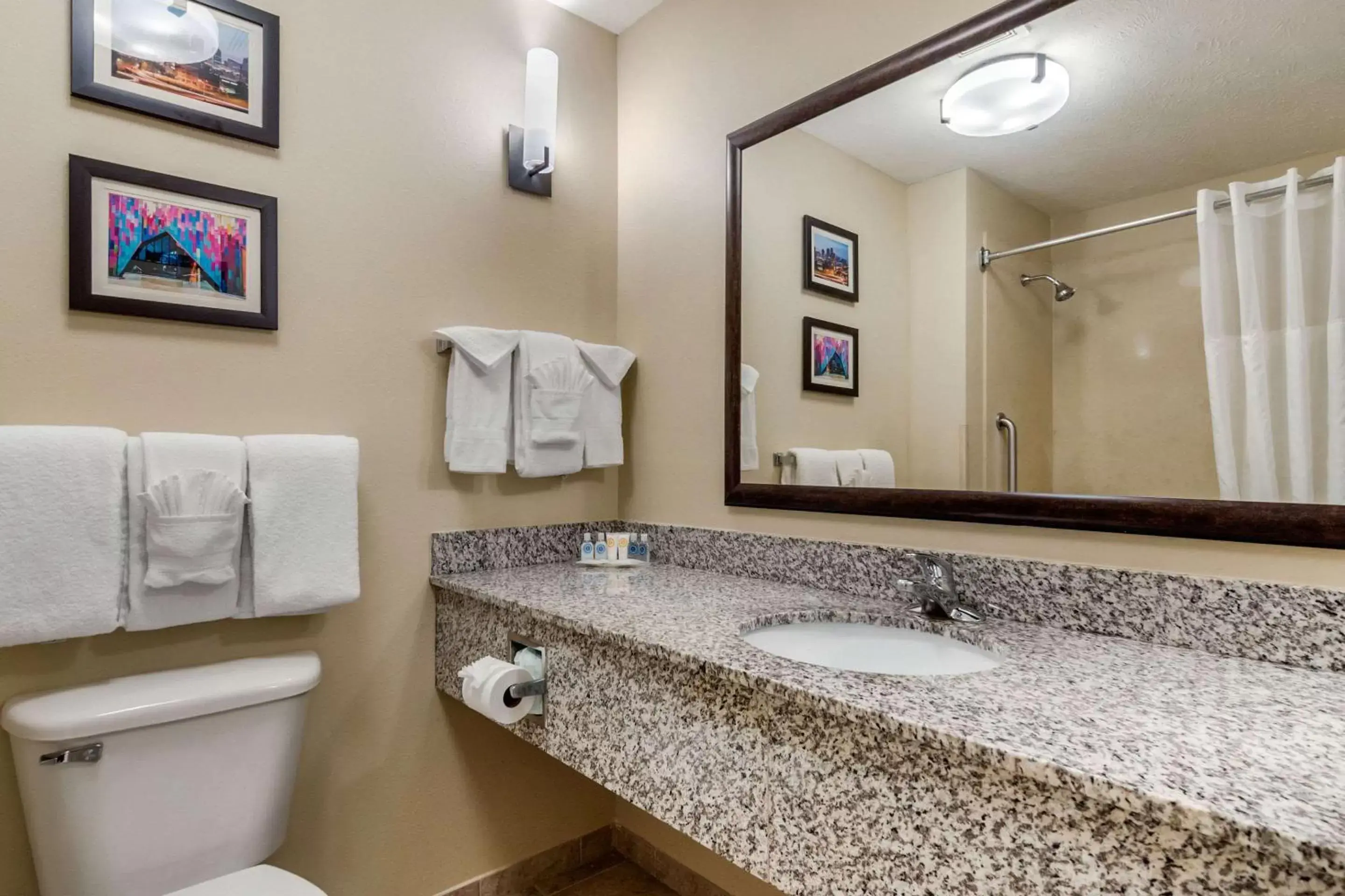 Photo of the whole room, Bathroom in Comfort Suites Speedway - Kansas City
