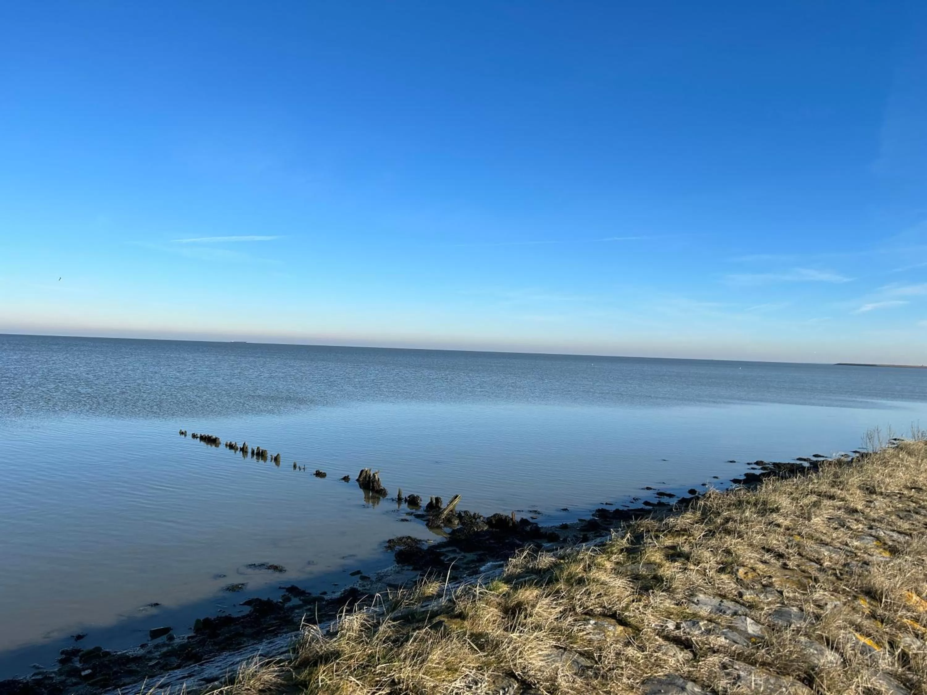 Natural landscape, Beach in B&B Villa Nieuwland