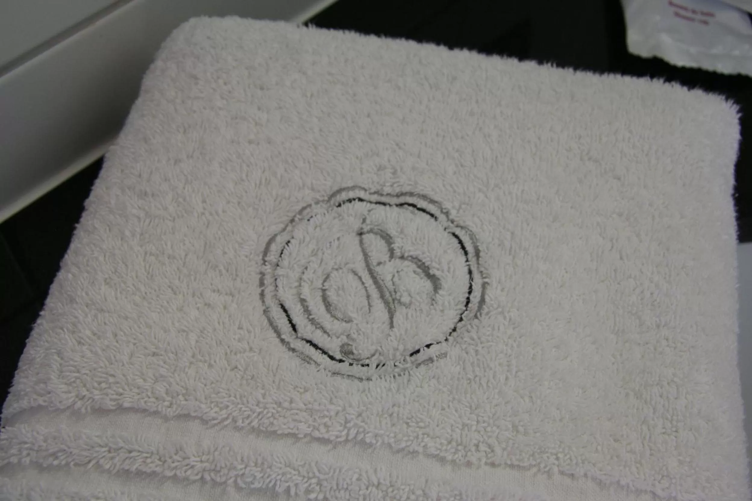 Other in Biznis Hotel