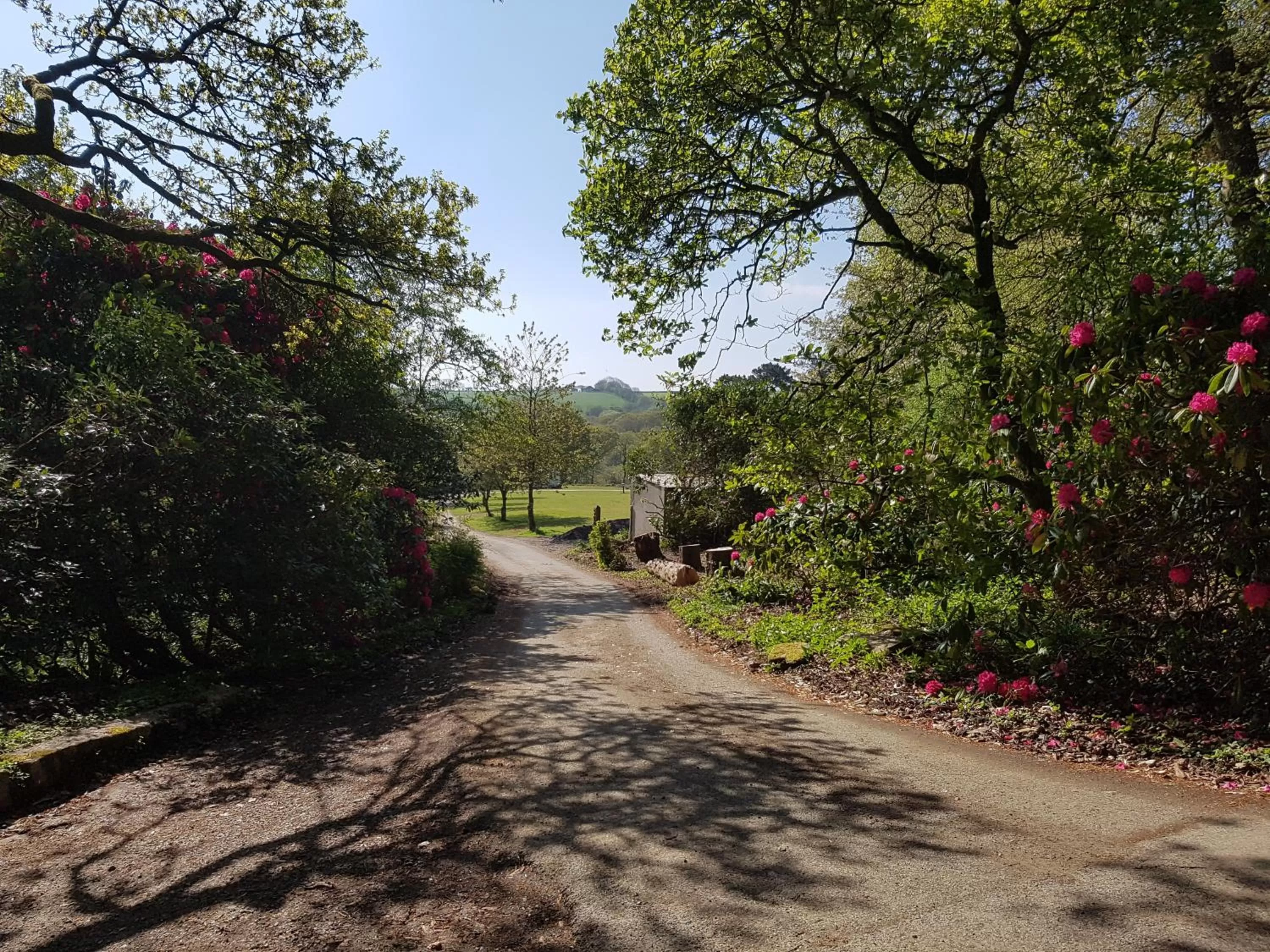 View (from property/room) in Great Trethew Hotel - Self Catering Lodges - Bar & Restaurant