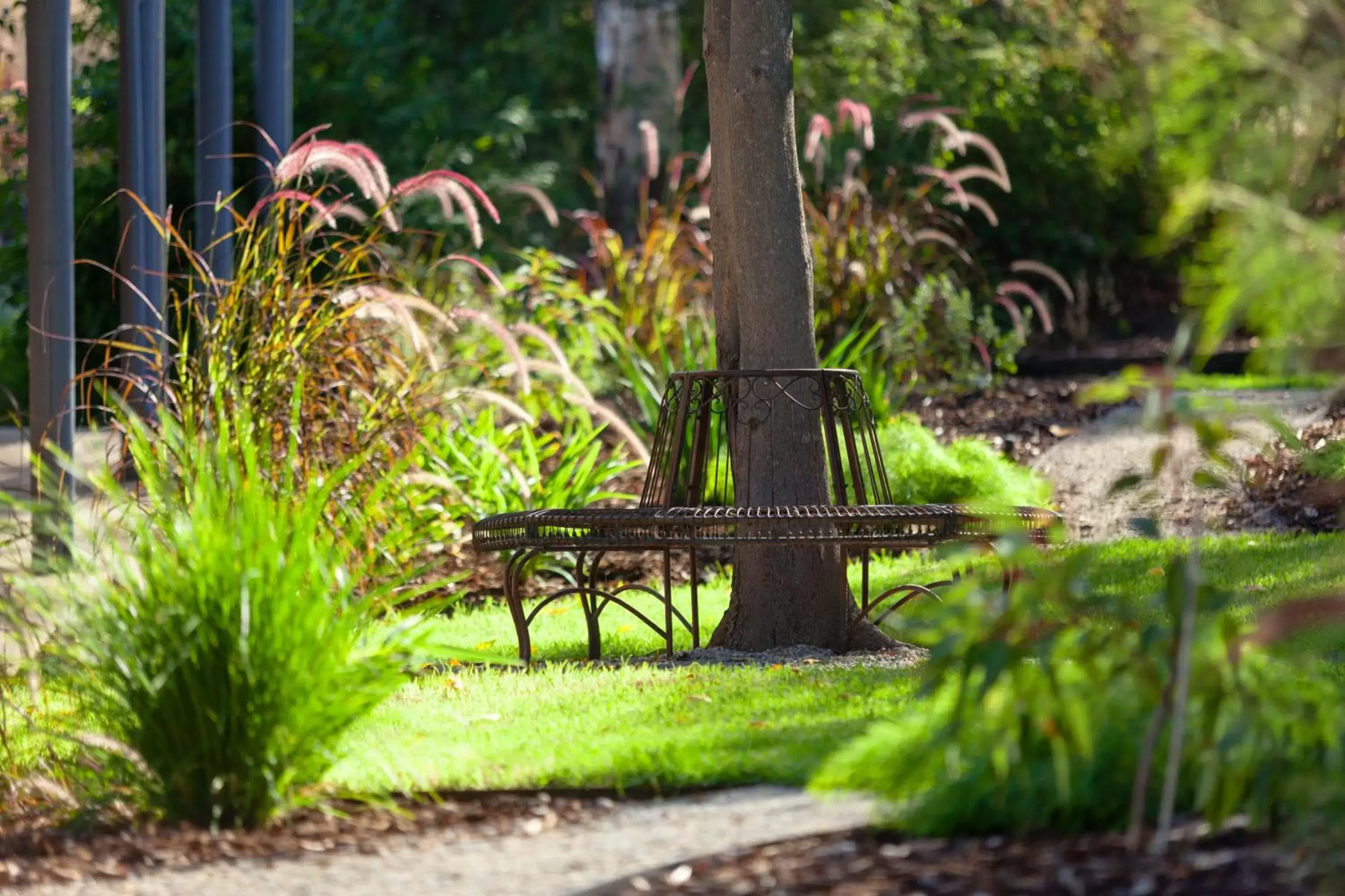 Natural landscape, Garden in Blazing Stump Motel & Suites