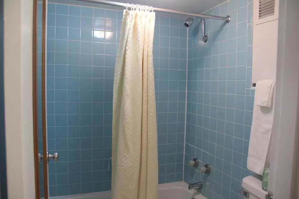 Shower, Bathroom in Norfolk Country Inn and Suites