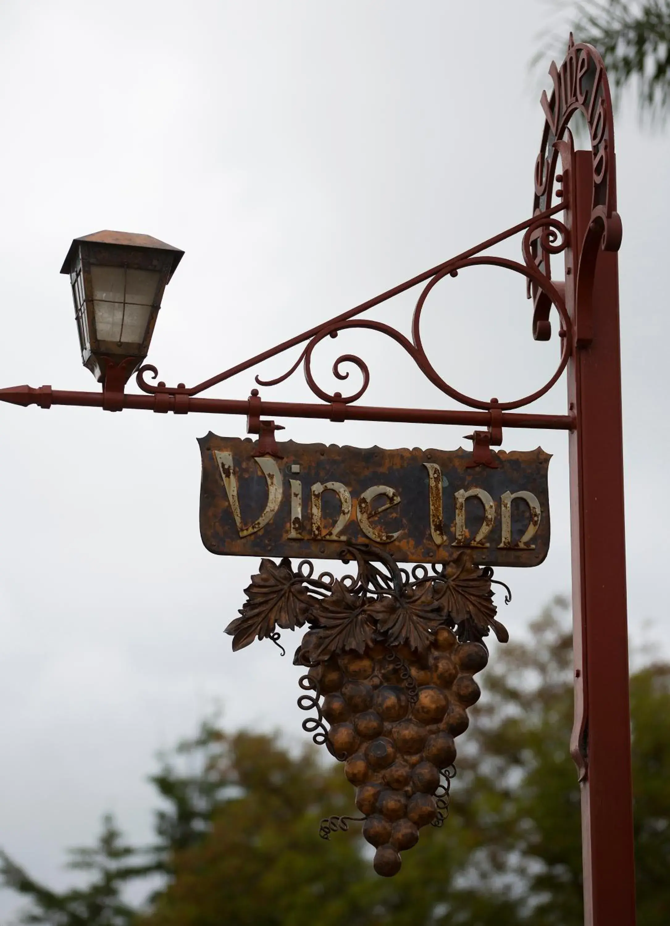 Property logo or sign in Vine Inn Barossa