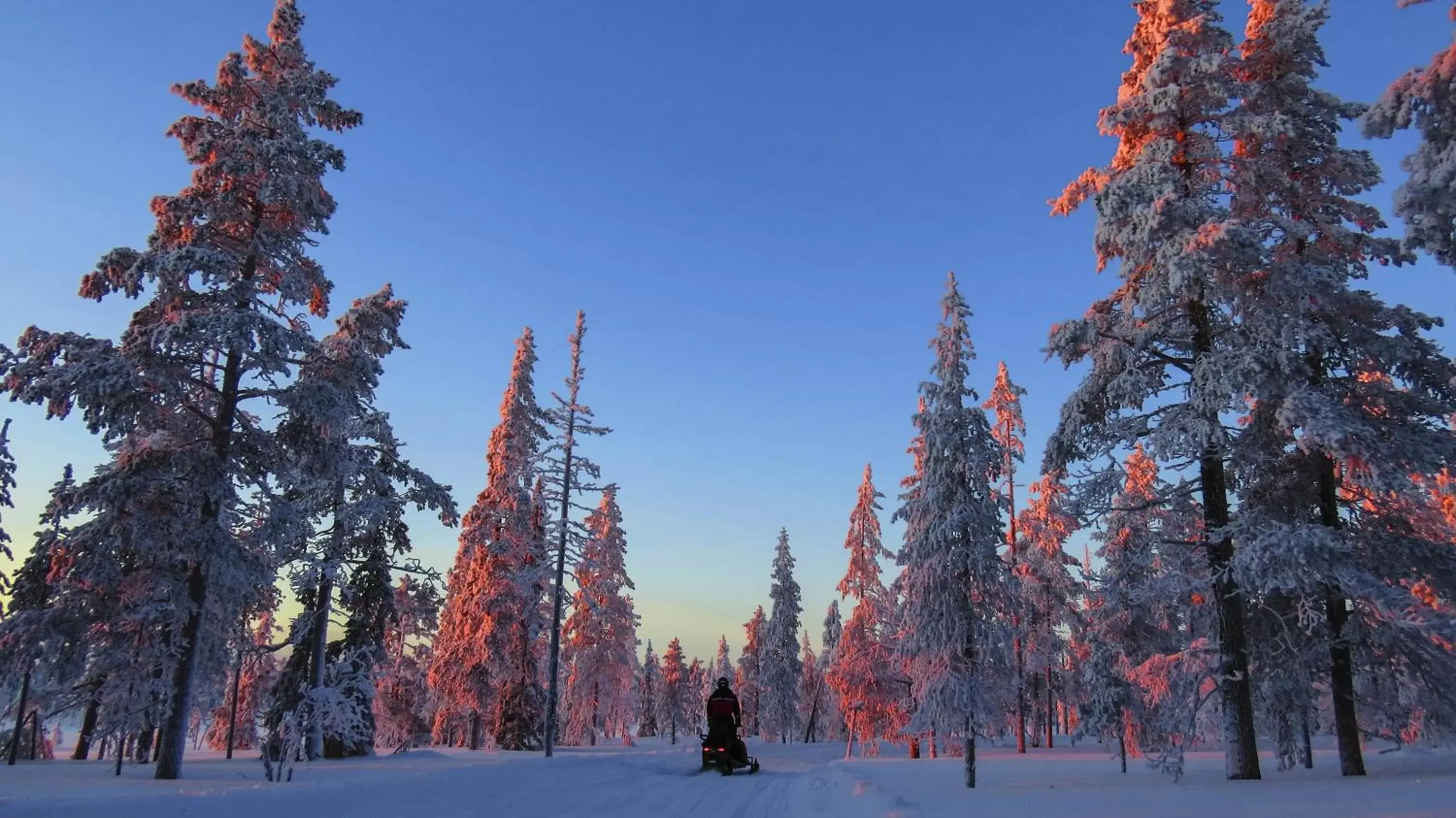 Off site, Winter in Lapland Hotels Sky Ounasvaara
