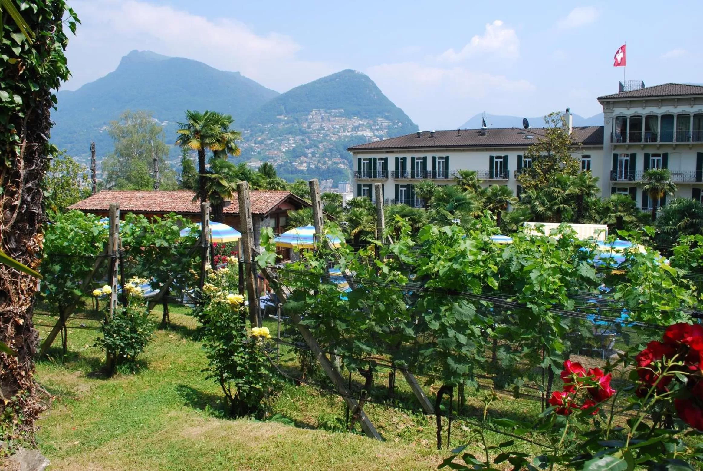 Day in Continental Parkhotel