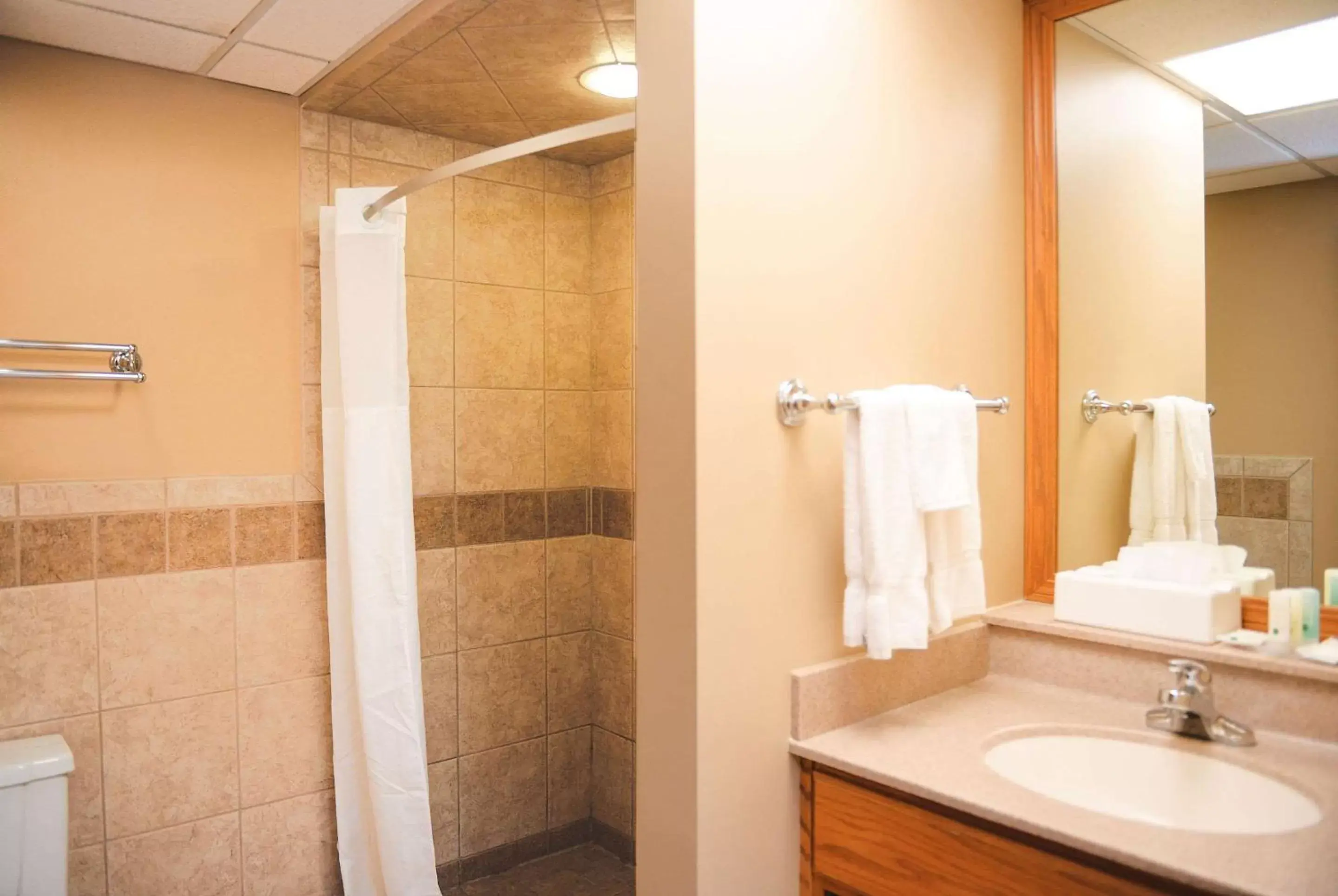 Bathroom in Quality Inn & Suites Ames Conference Center Near ISU Campus