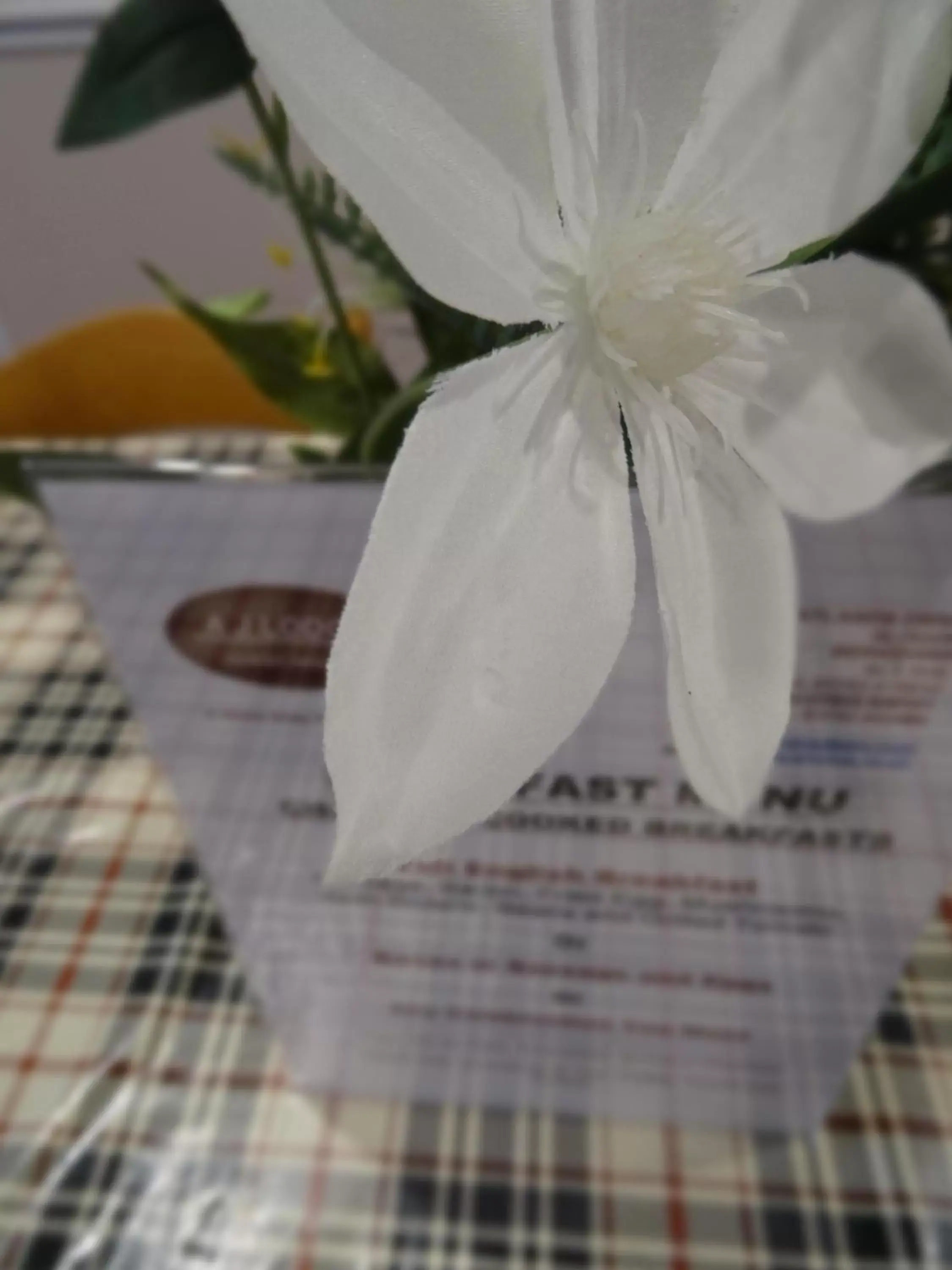 Dining area in AJ Lodge