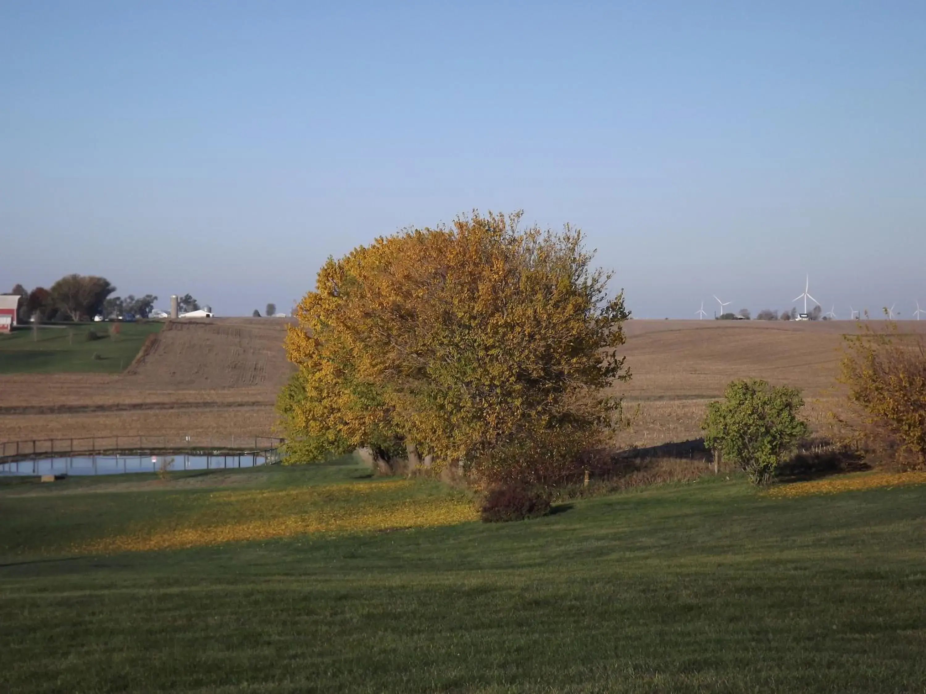 View (from property/room), Garden in Crest Country Inn