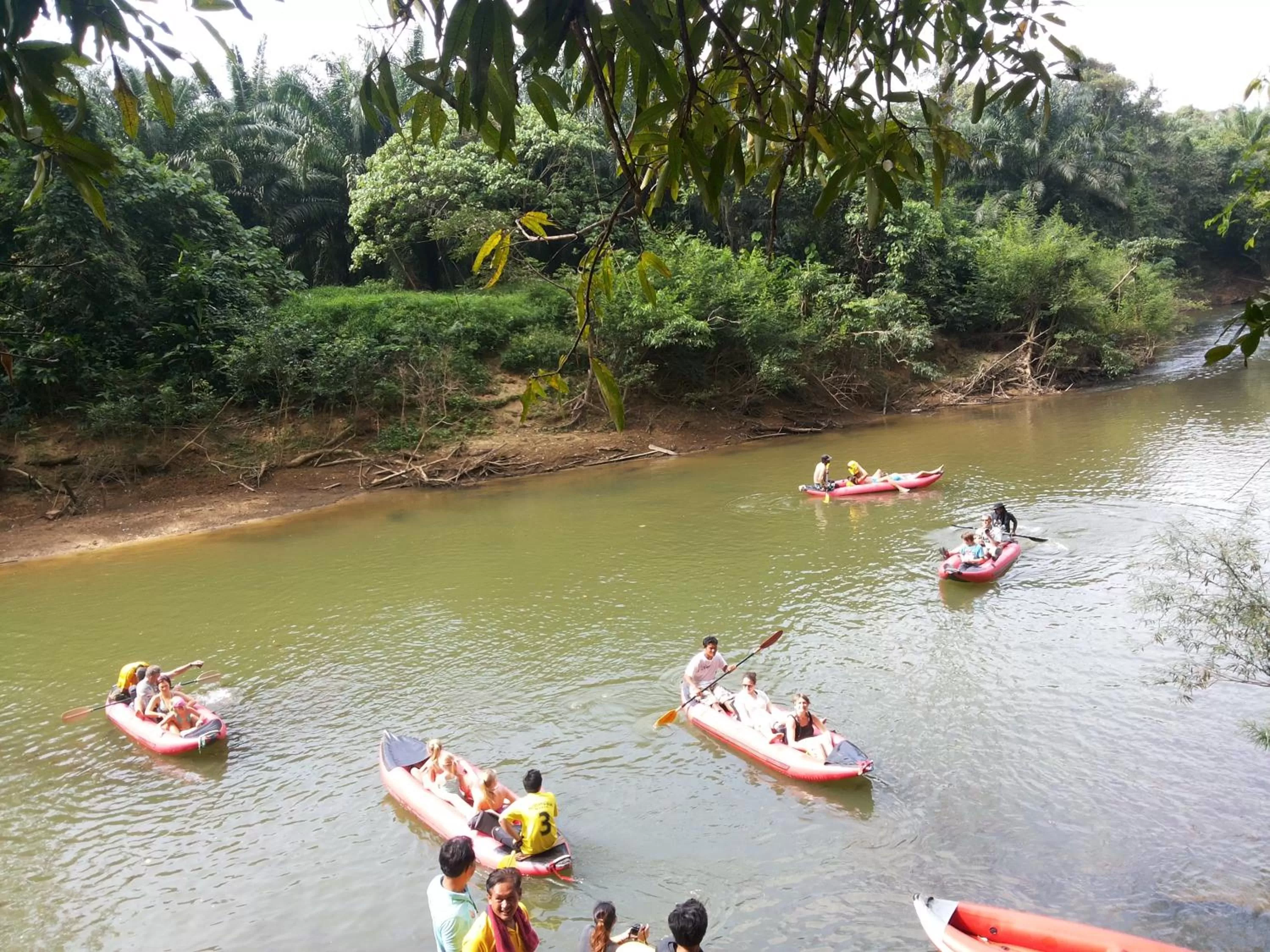 Activities in Khao Sok Jungle Huts Resort