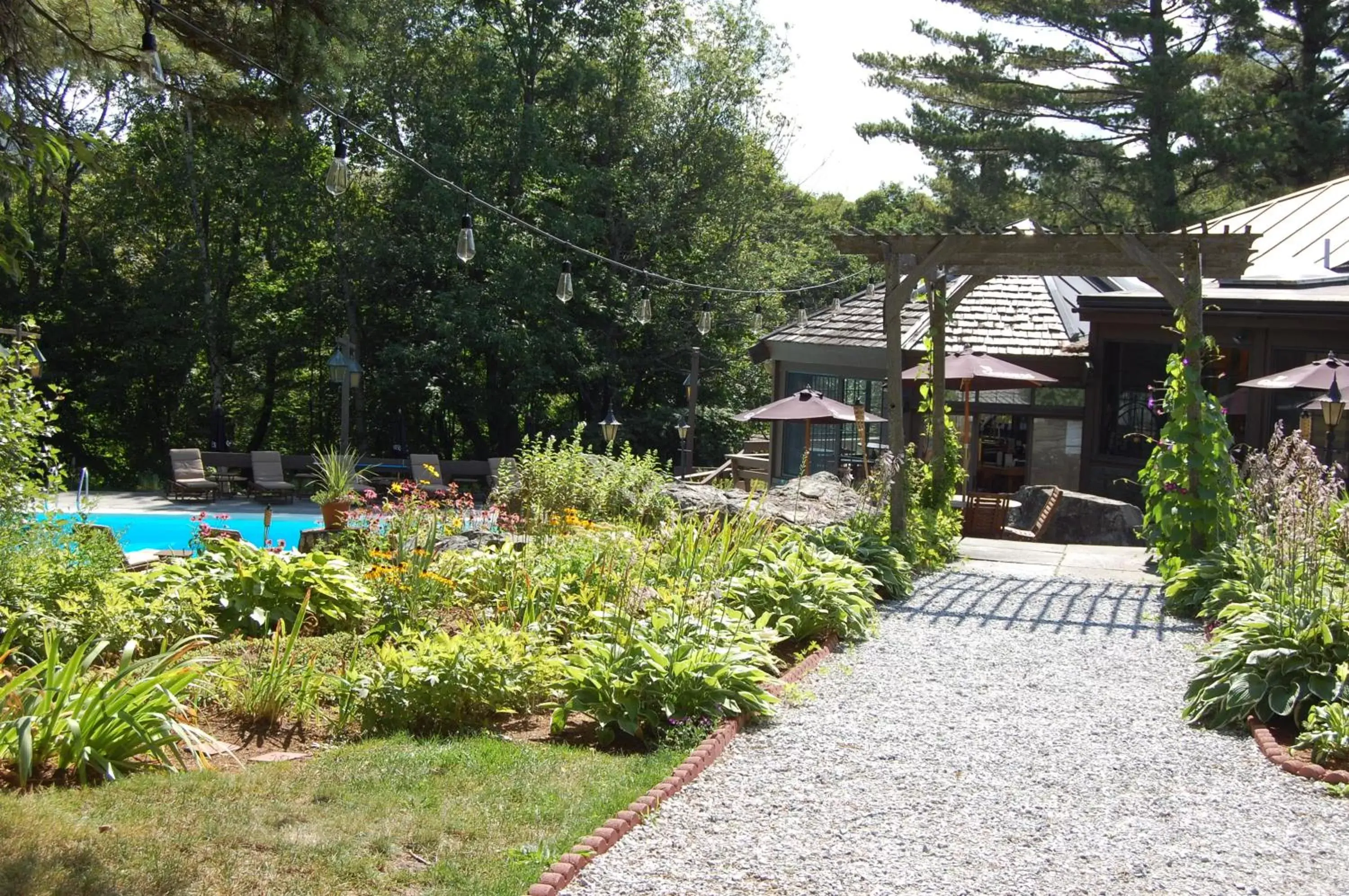 Swimming pool, Property Building in Summit Lodge