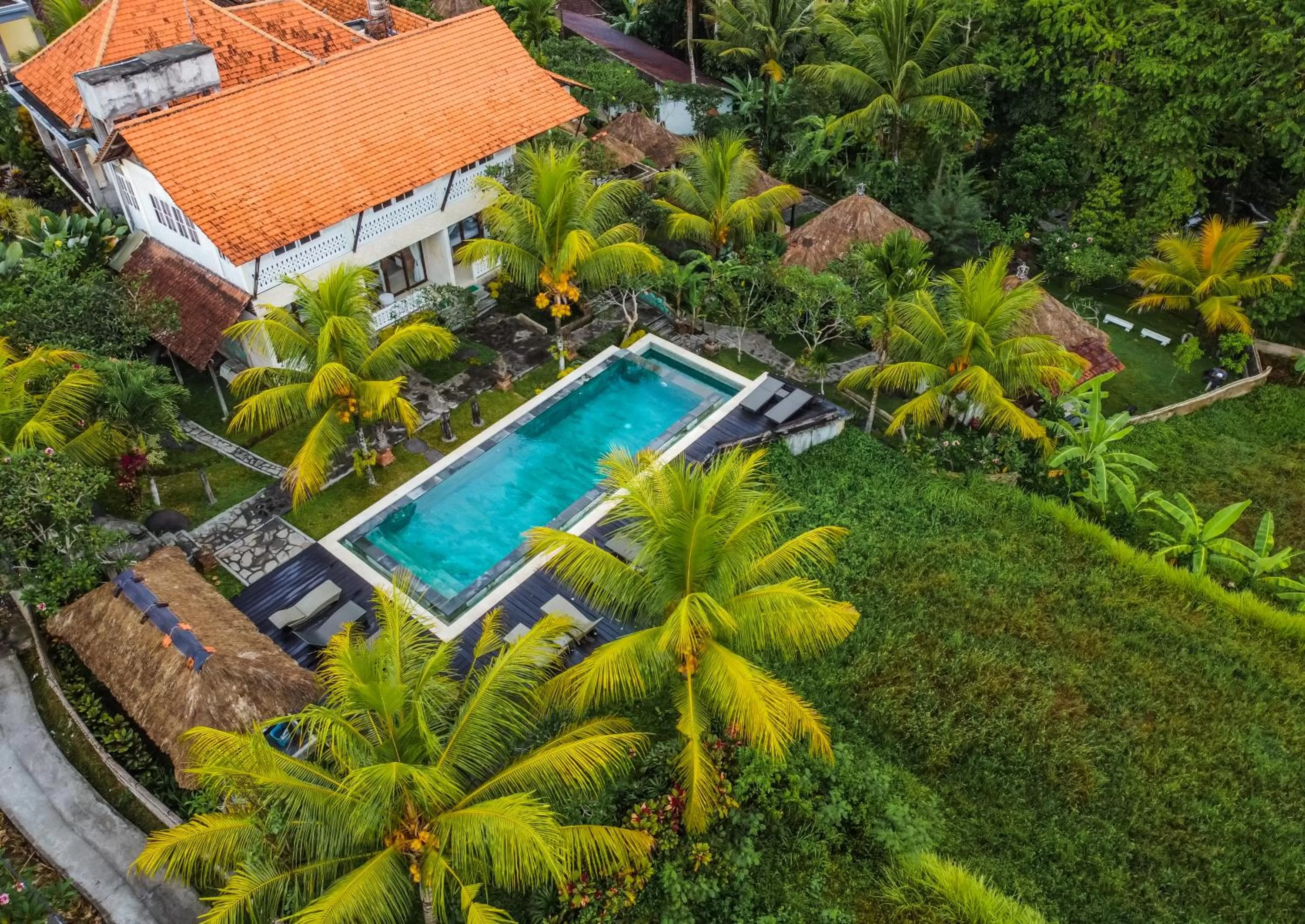 Bird's eye view in Ubud Sari Health Resort