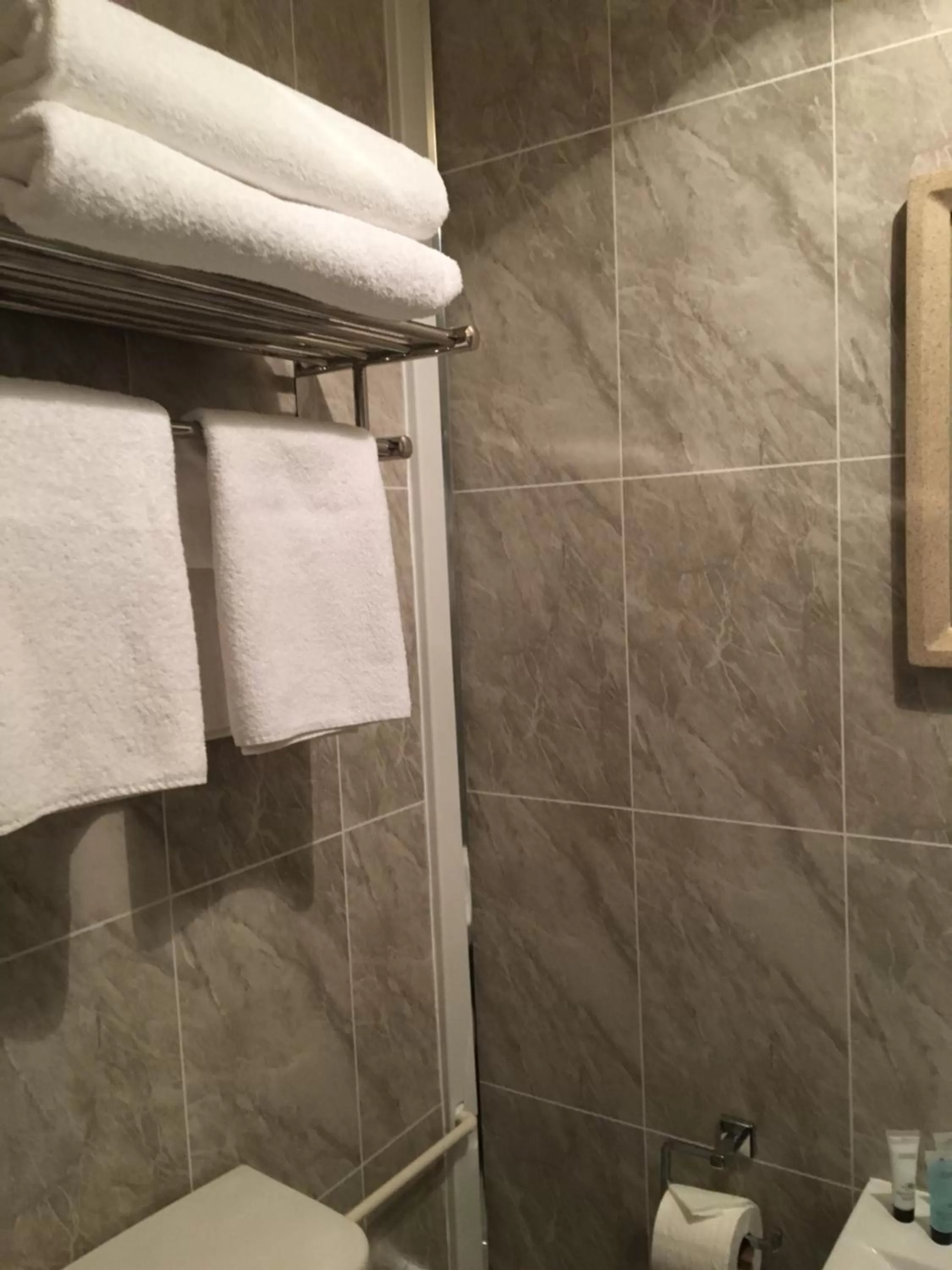 Bathroom in The Ynyscedwyn Arms Hotel