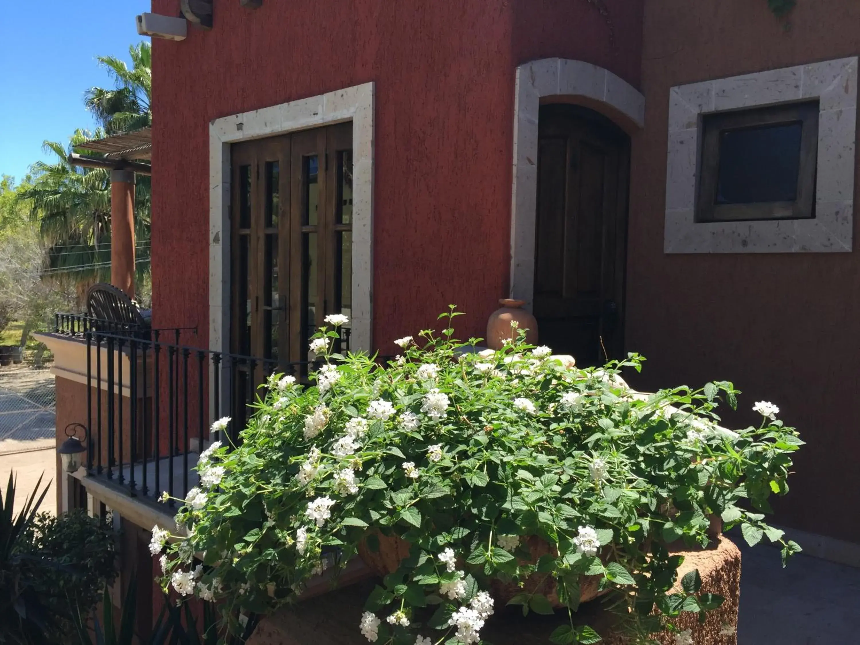 Garden view in Posada del Cortes