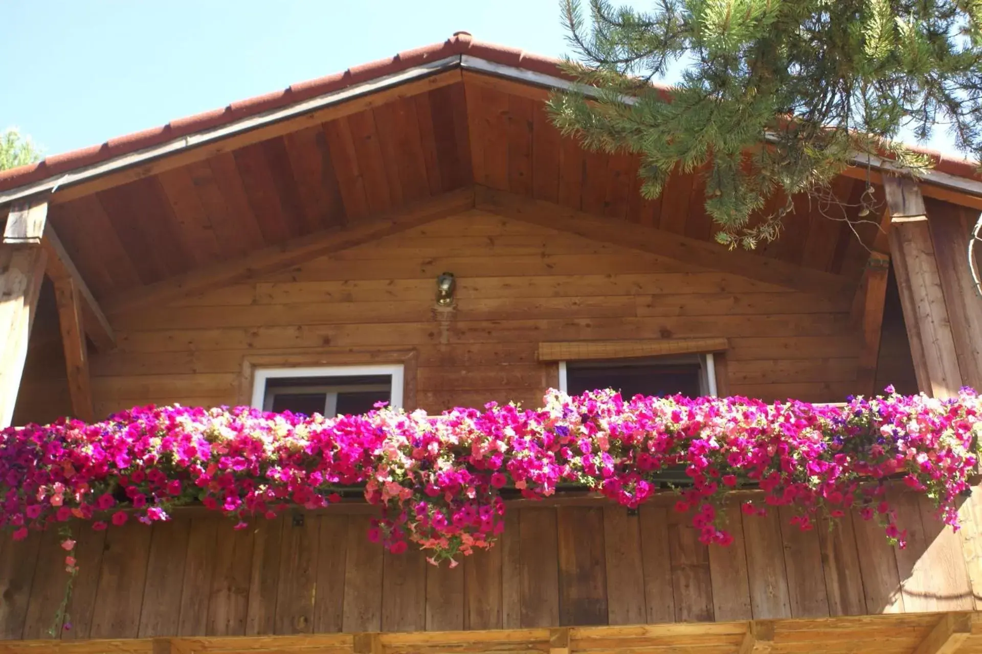 Balcony/Terrace, Property Building in Alpenglow Bed and Breakfast