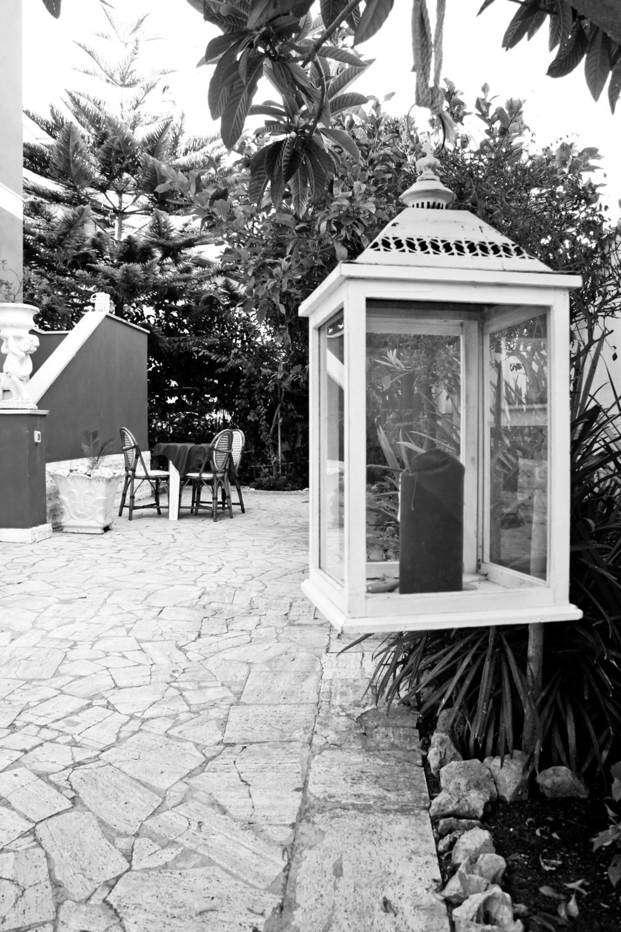 Garden in Fiumicino Airport B&B Deluxe